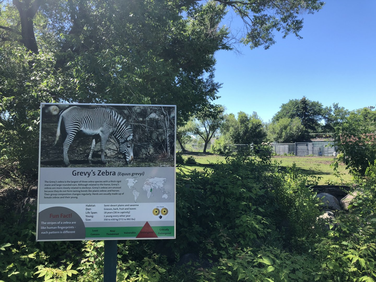 Grevy's Zebra Enclosure at Edmonton Valley Zoo (July 2022)