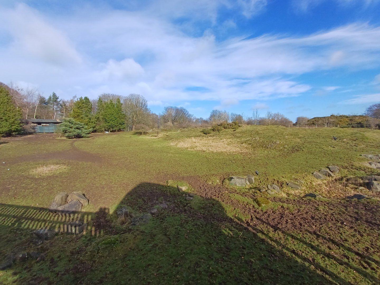 Grevy's Zebra- enclosure