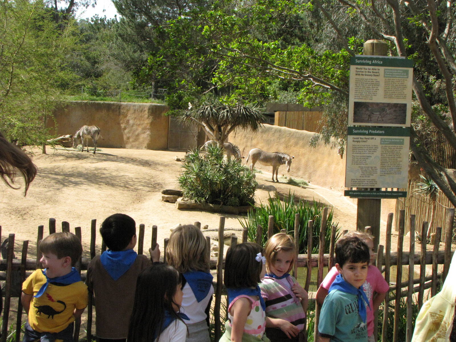 Grevy's Zebra Enclosure