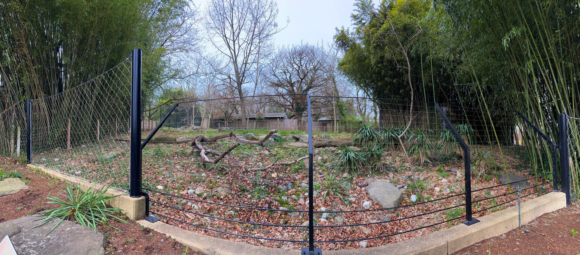 Grevy's Zebra Exhibit (Empty)