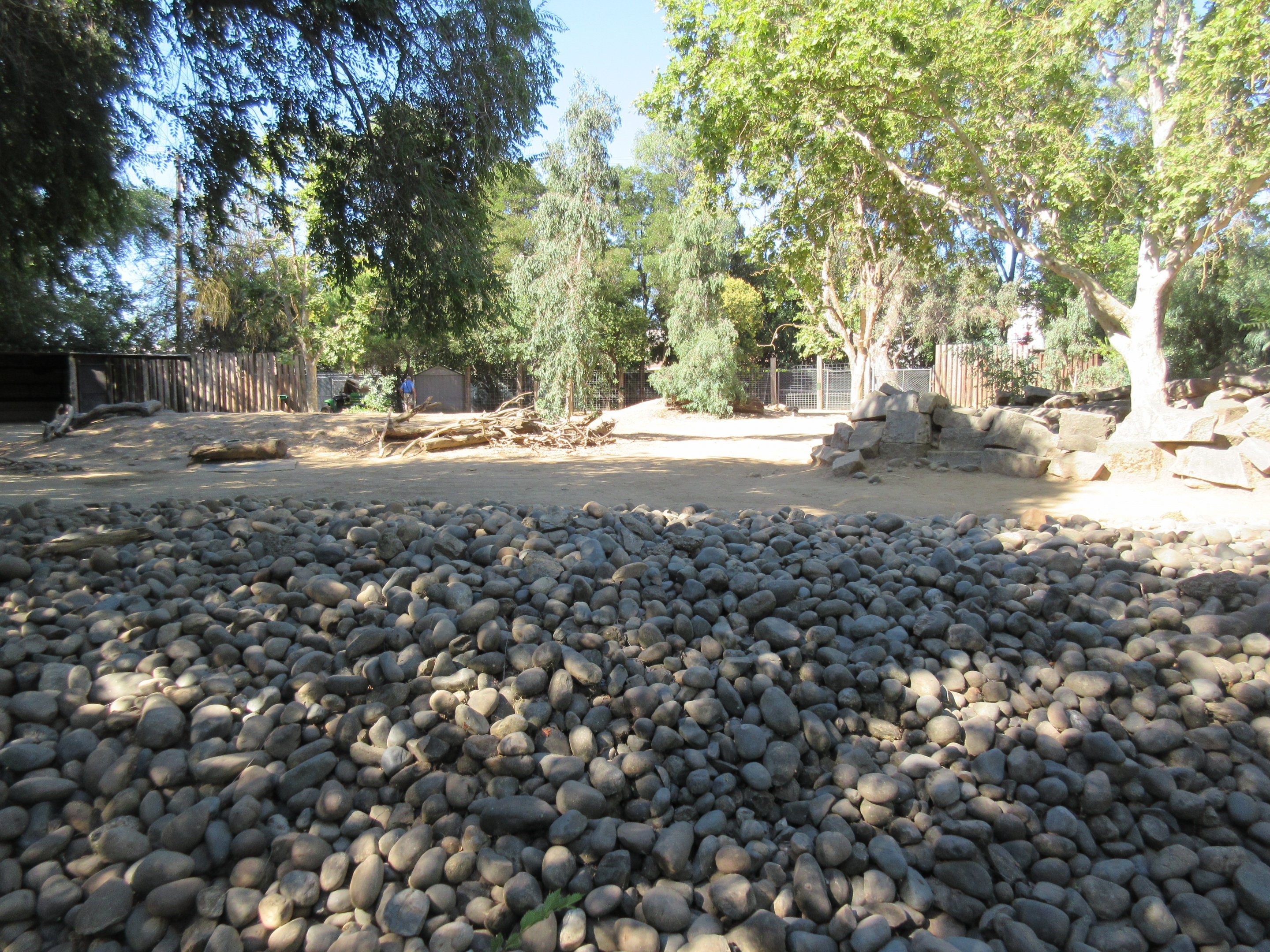 Grevy's Zebra Exhibit (rock city!)