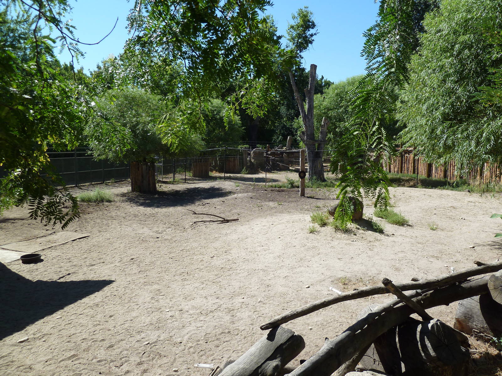 Grevy's Zebra Exhibit