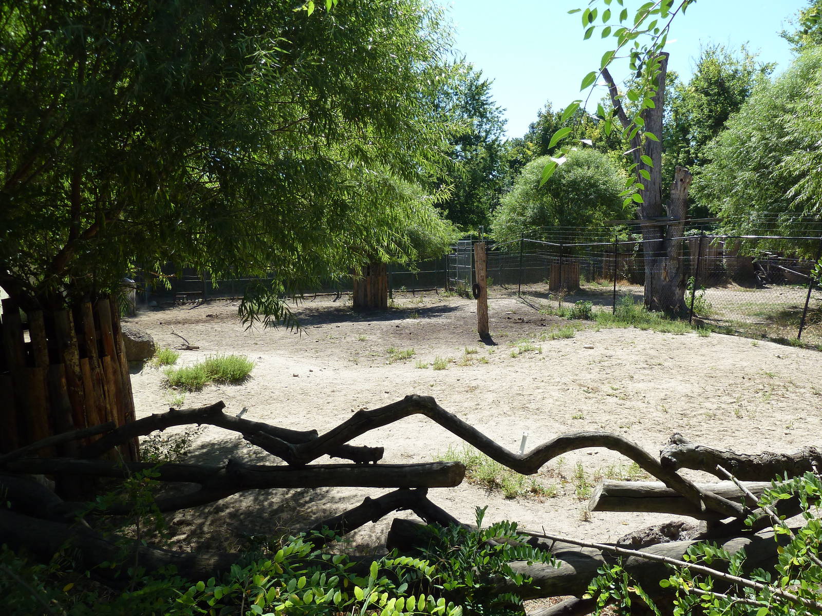 Grevy's Zebra Exhibit