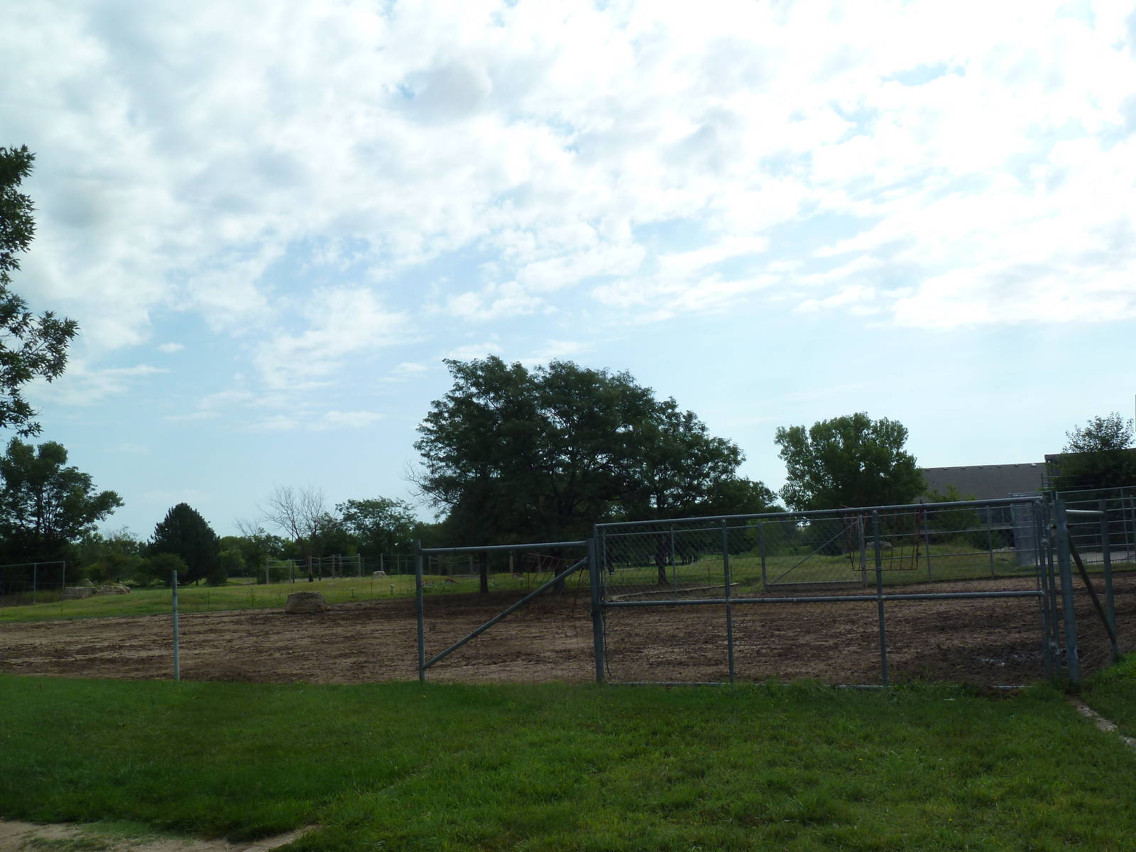 Grevy's Zebra Exhibit