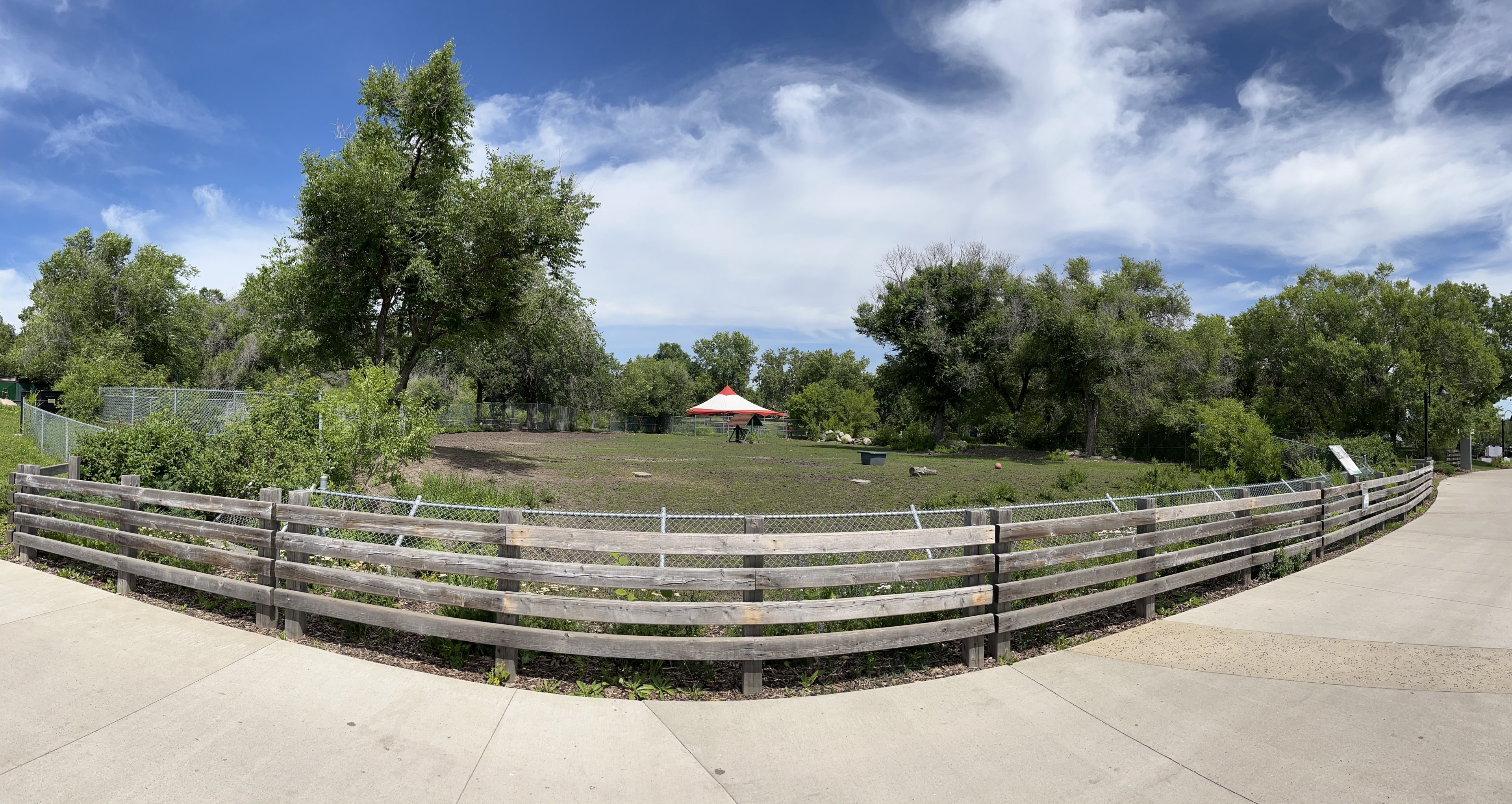 Grevy’s Zebra Exhibit