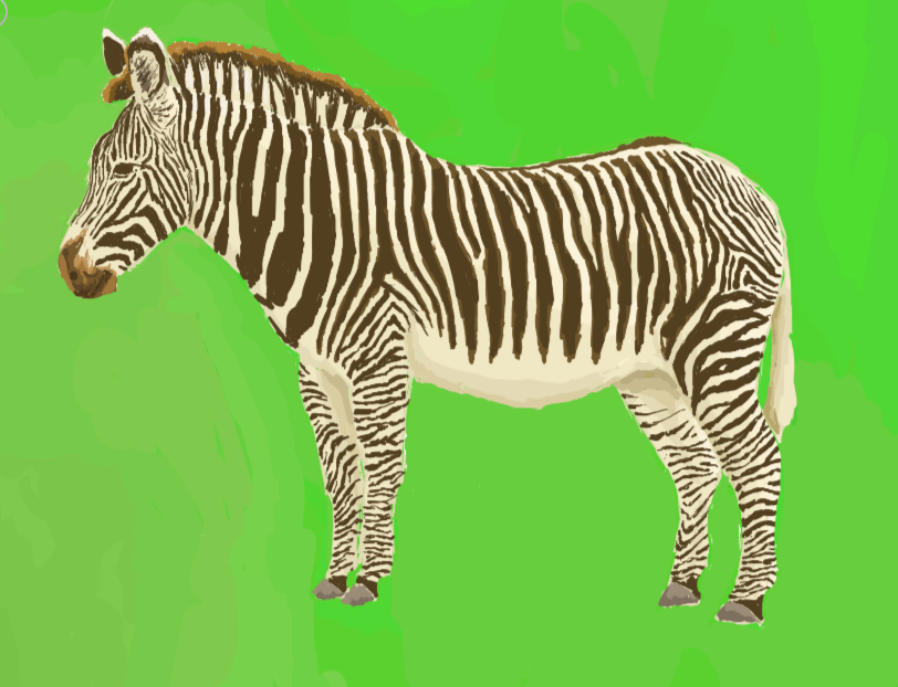 Grevy's Zebra for Chester Zoo map