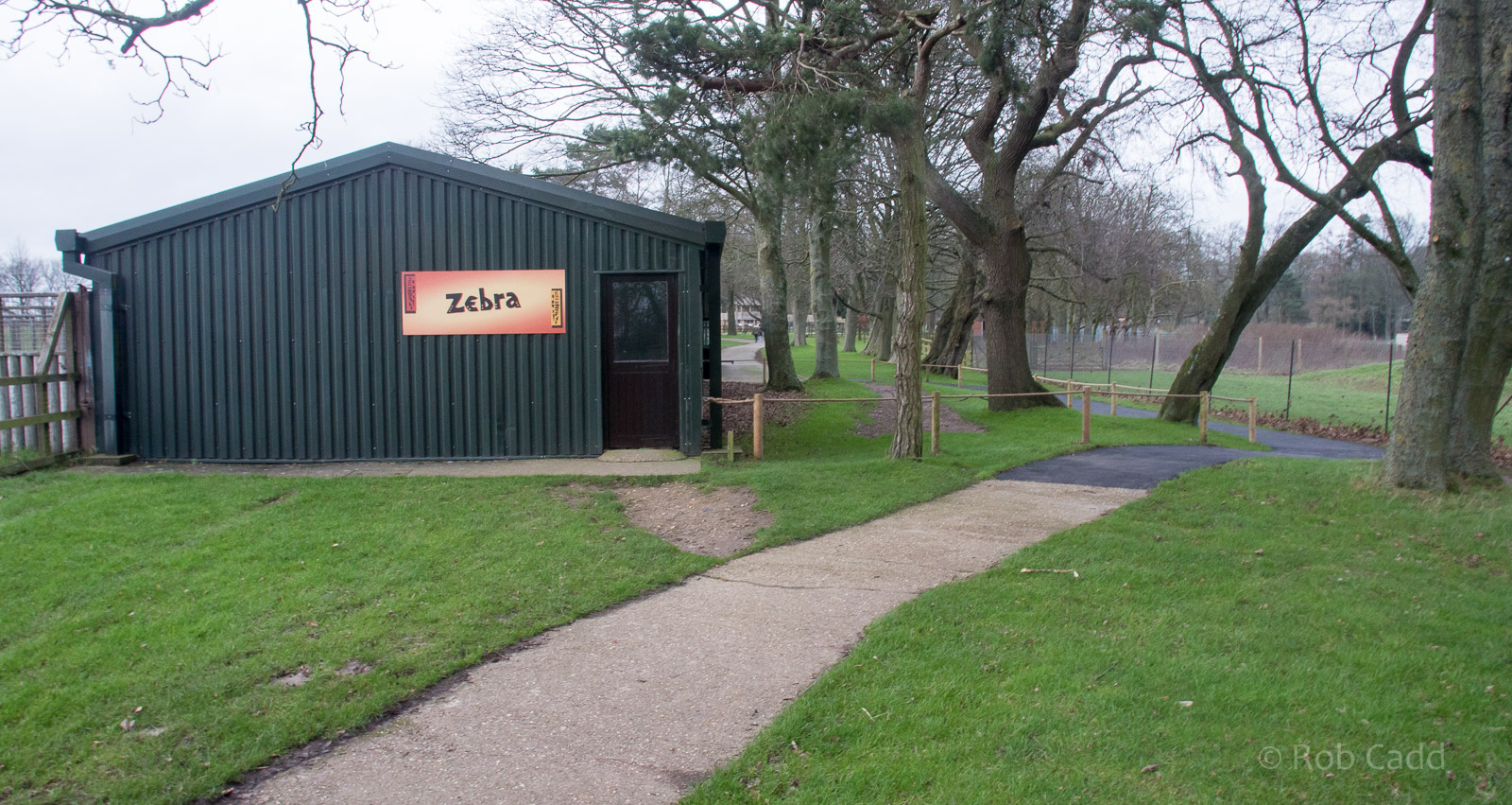 Grevys zebra (housing) : Whipsnade : 17 Dec 2015
