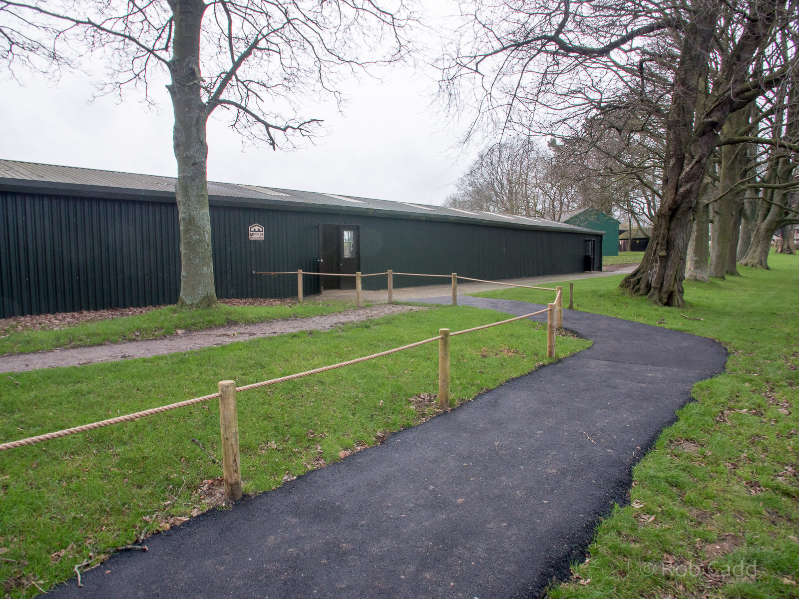 Grevys zebra (housing) : Whipsnade : 17 Dec 2015
