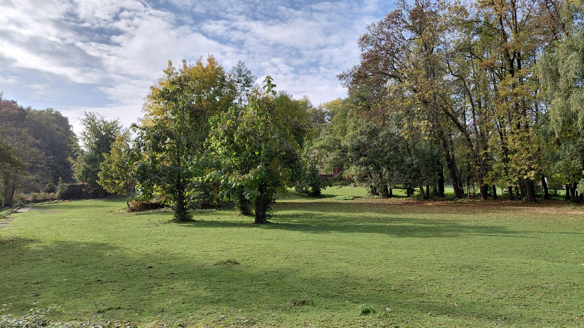 Grévy's zebra outdoor exhibit