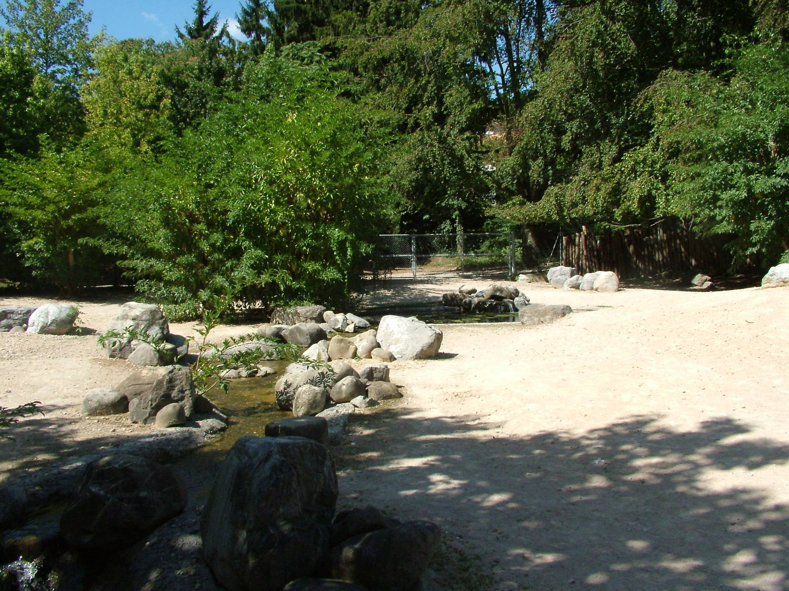 Grevy's Zebra paddock at Mulhouse 29/08/09