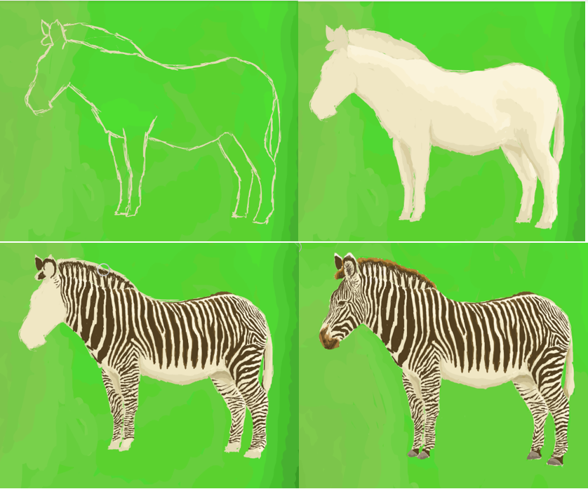 Grevy's Zebra process