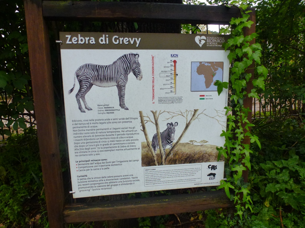 Grevy's zebra sign 5.4.15
