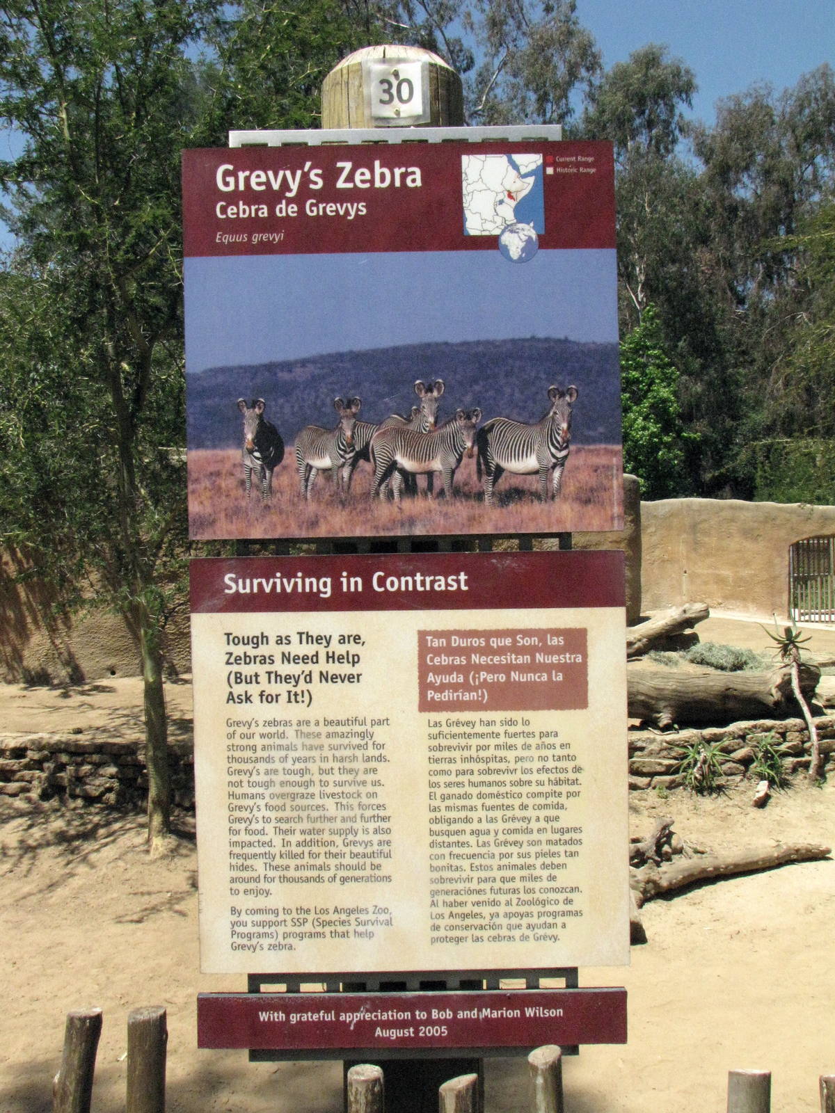 Grevy's Zebra Signage