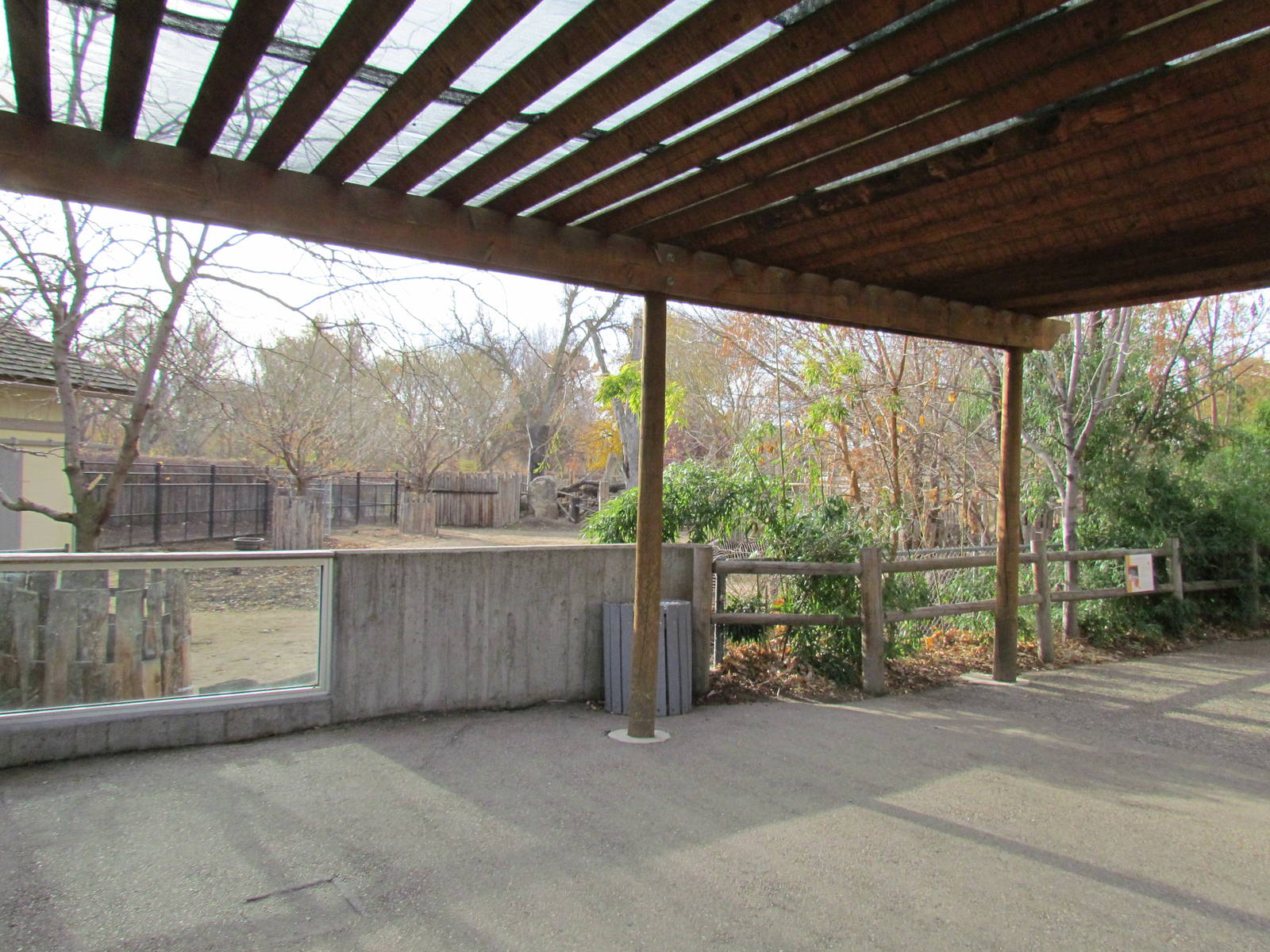Grevy's Zebra Viewing