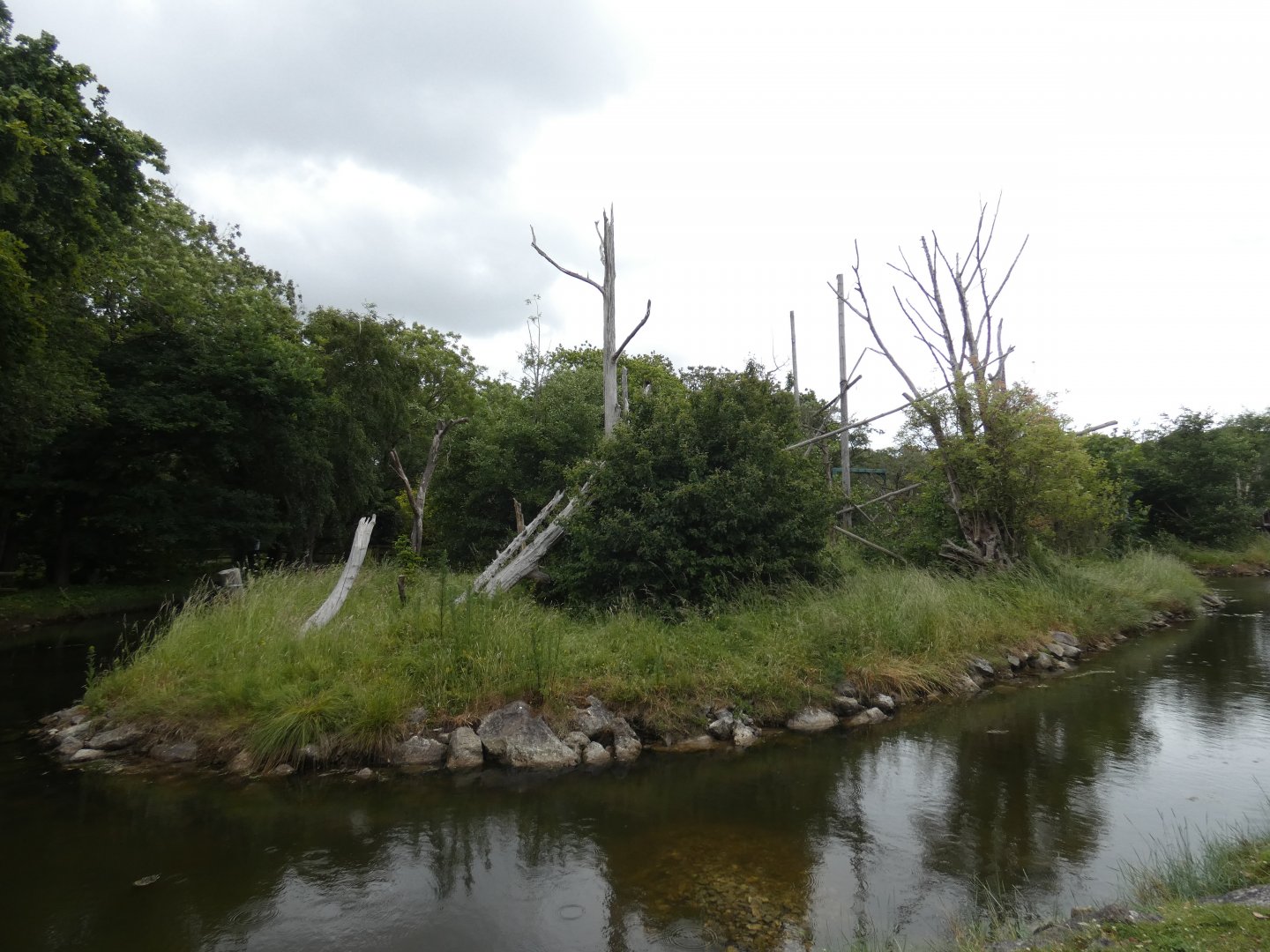Grey-cheeked mangabey island