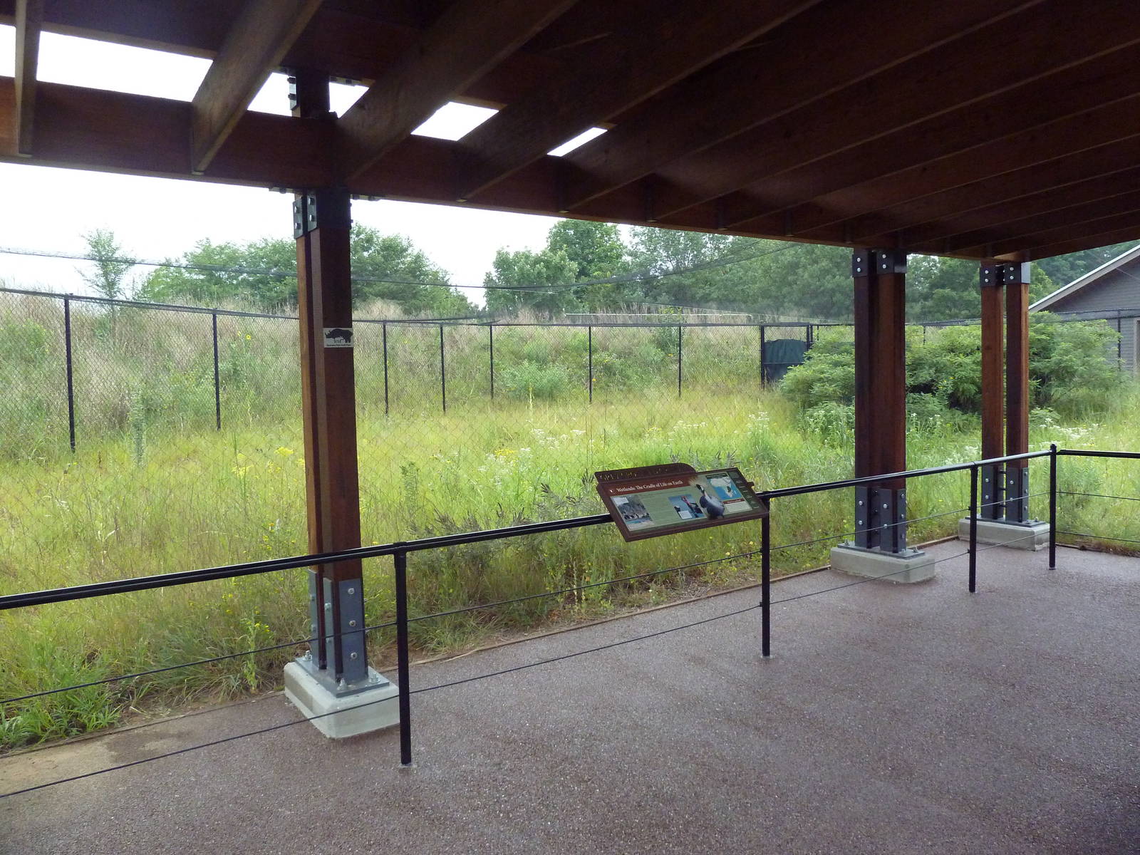 Grey Crowned Crane Exhibit