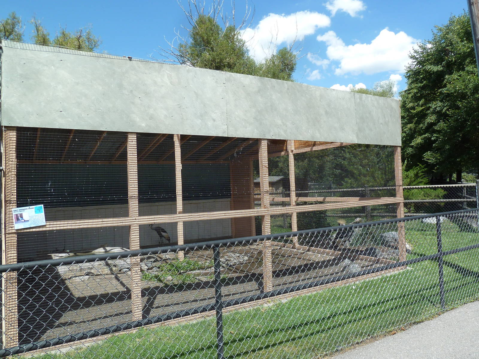 Grey Crowned Crane Exhibit