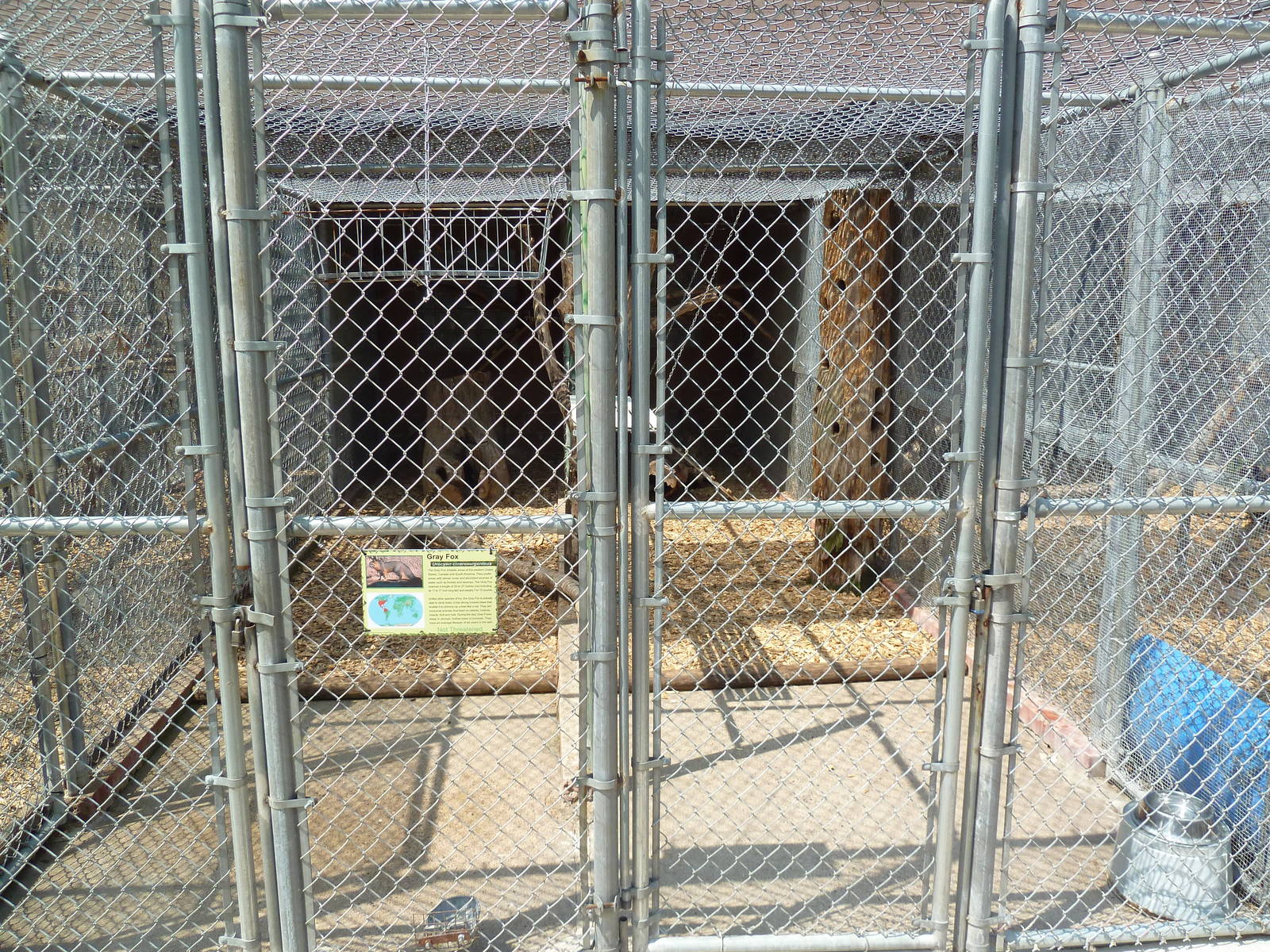 Grey Fox Cage