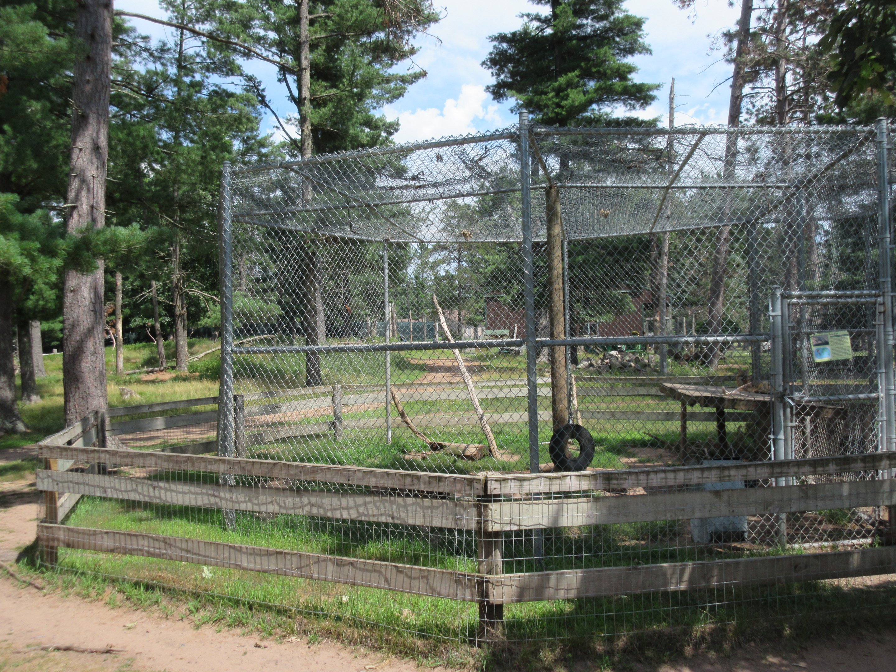 Grey Fox Exhibit