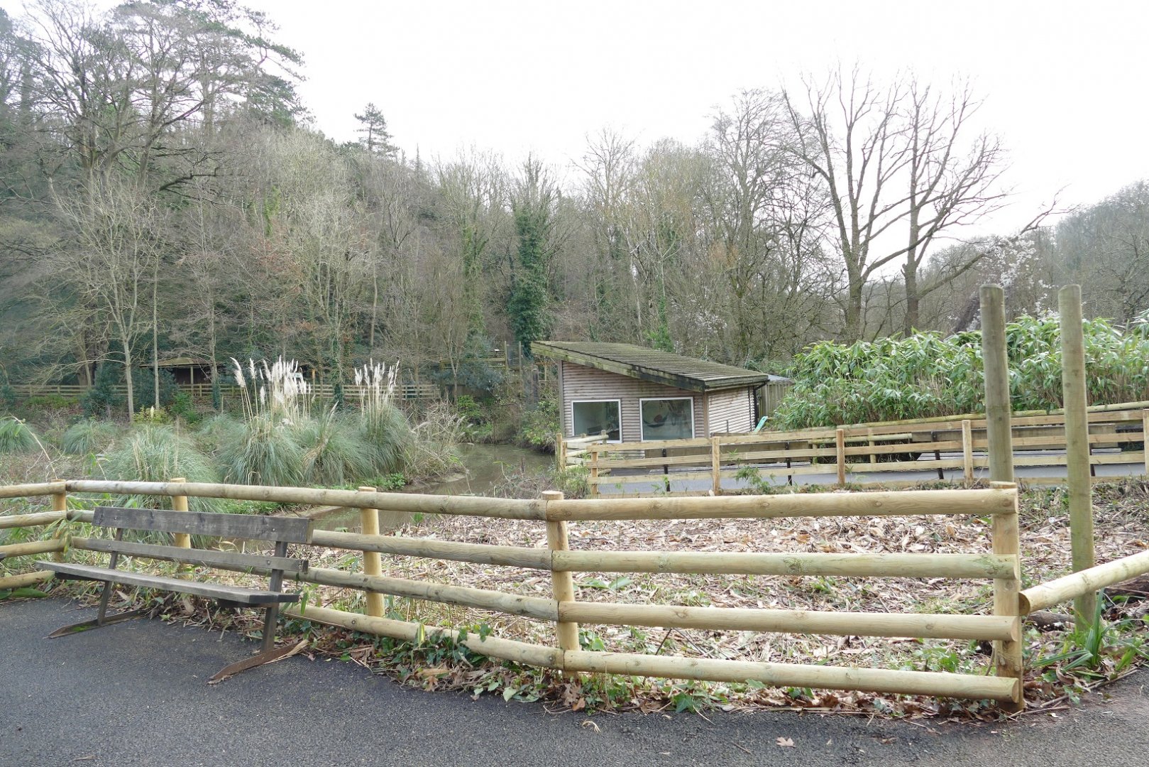 Grey gibbon house, January 2019