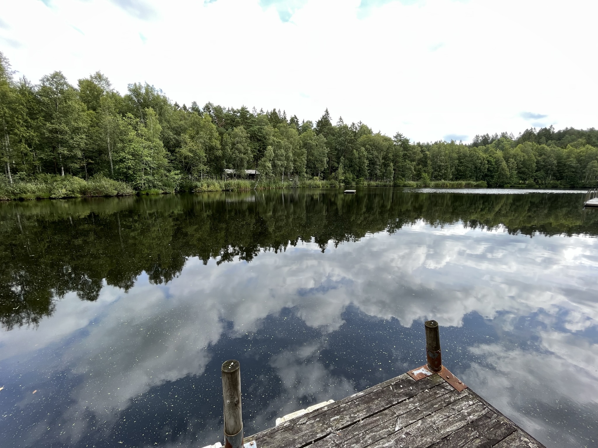 Grey + Harbour Seal Exhibit (a lake!)