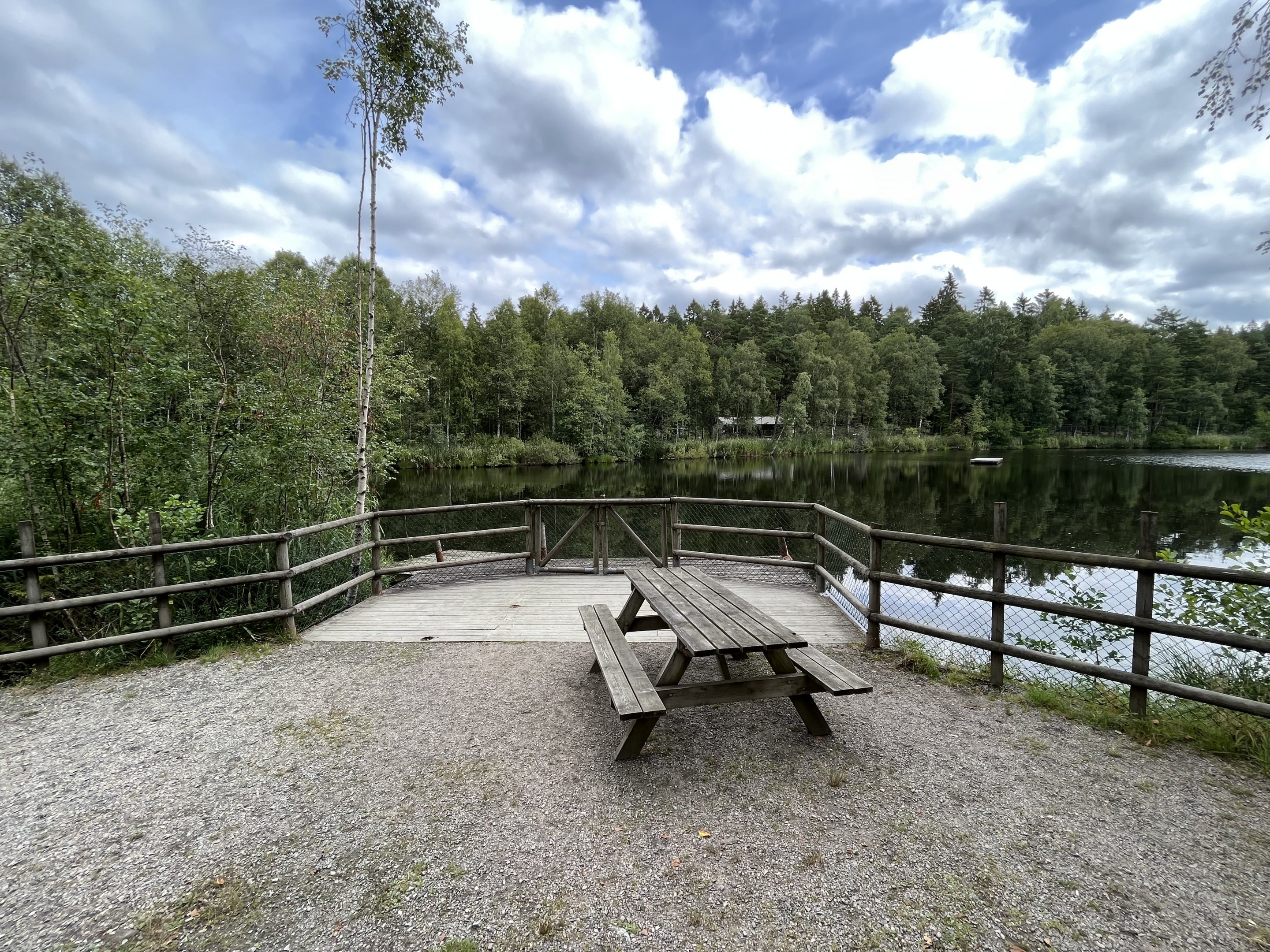 Grey + Harbour Seal Exhibit (a lake!)