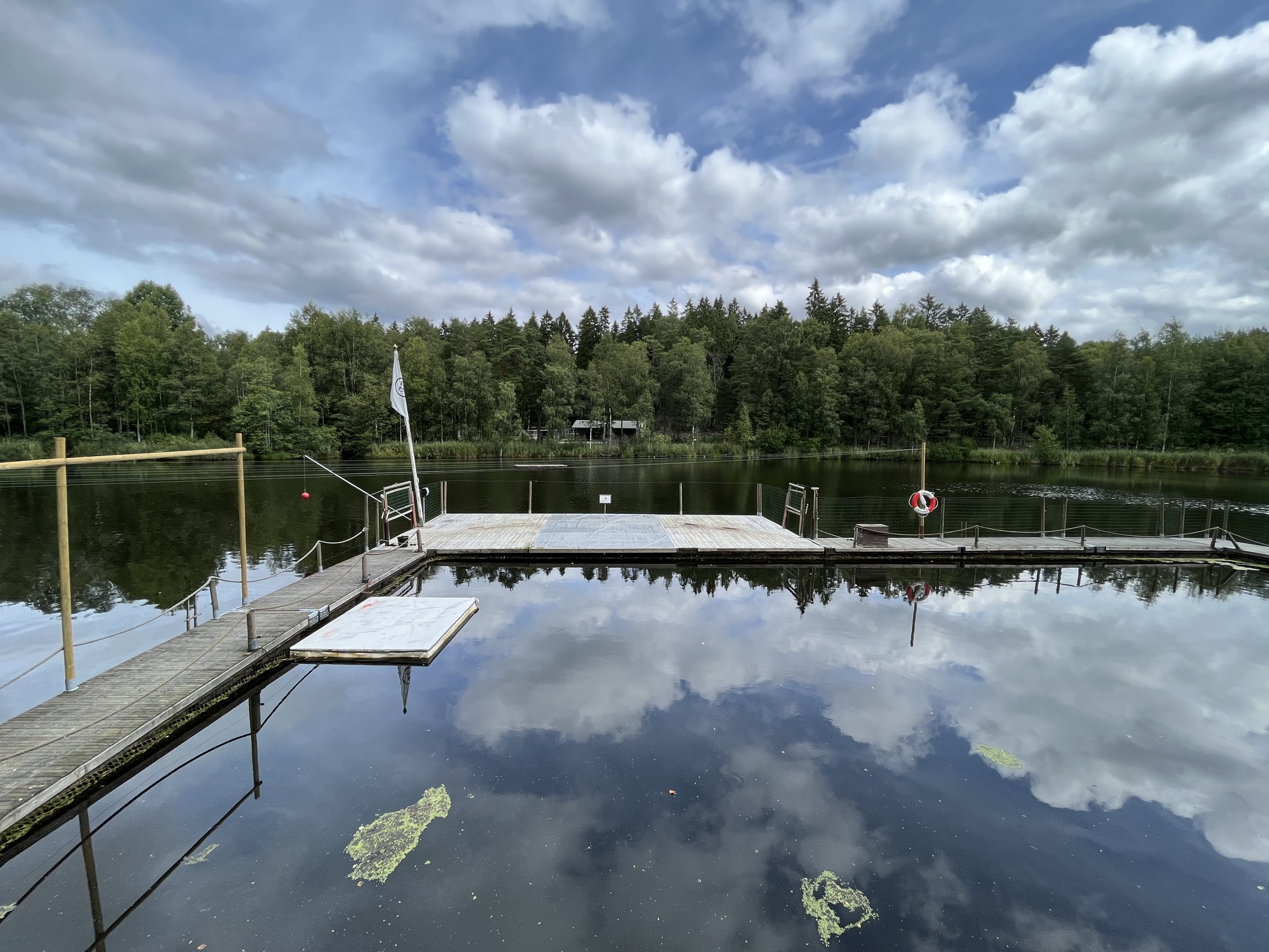 Grey + Harbour Seal Exhibit (a lake!)