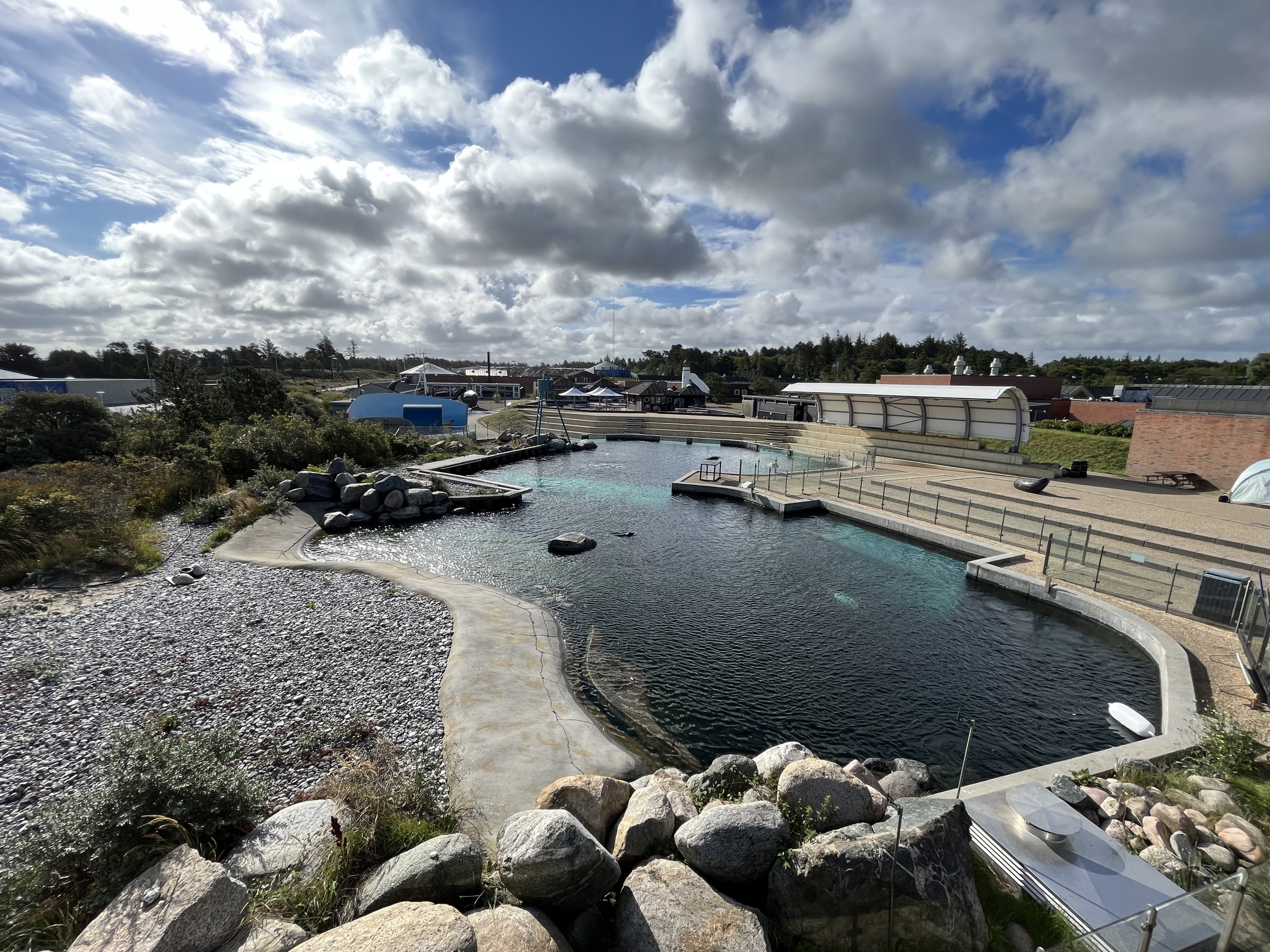 Grey + Harbour Seal Exhibit