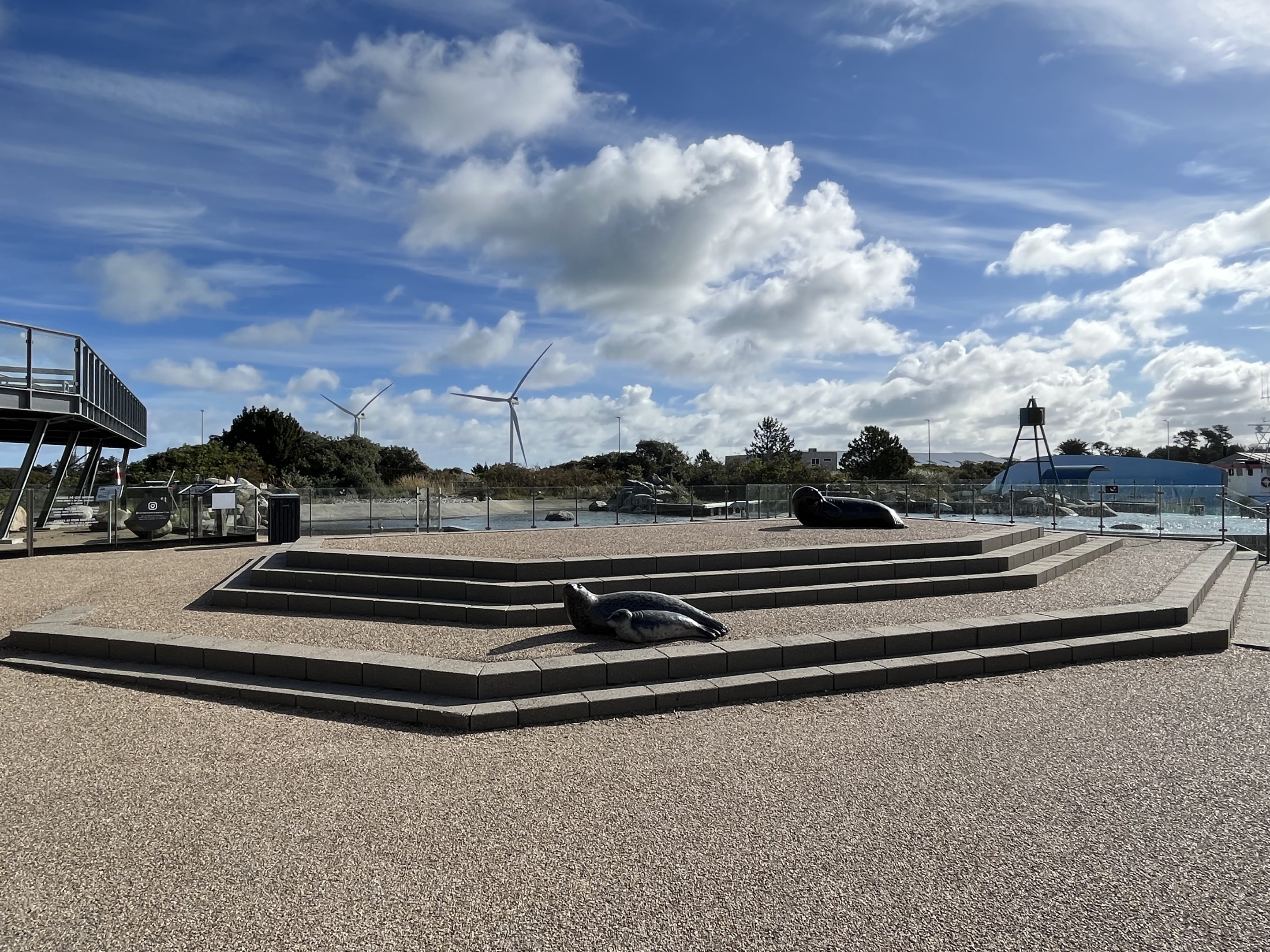 Grey + Harbour Seal Exhibit