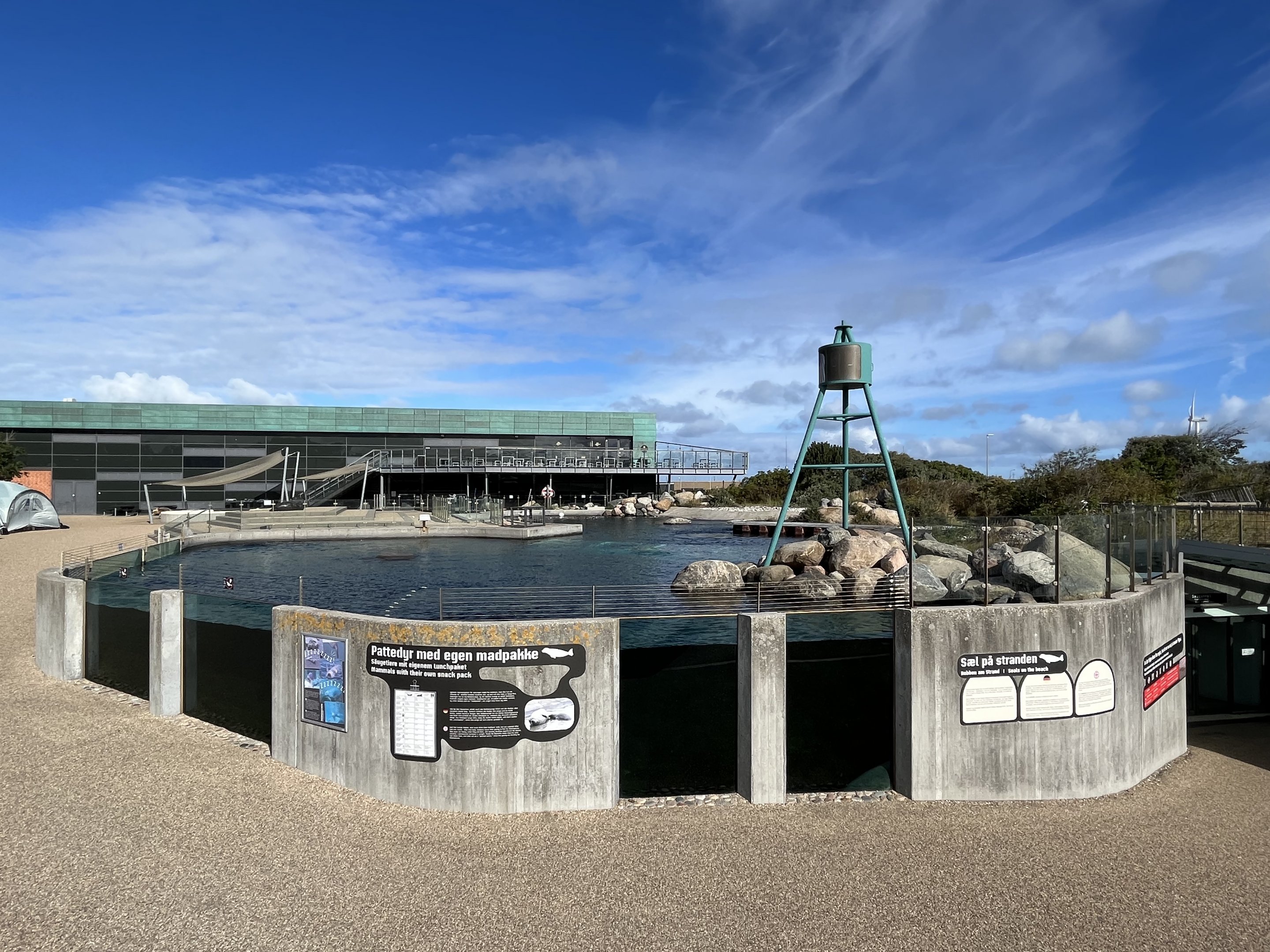 Grey + Harbour Seal Exhibit