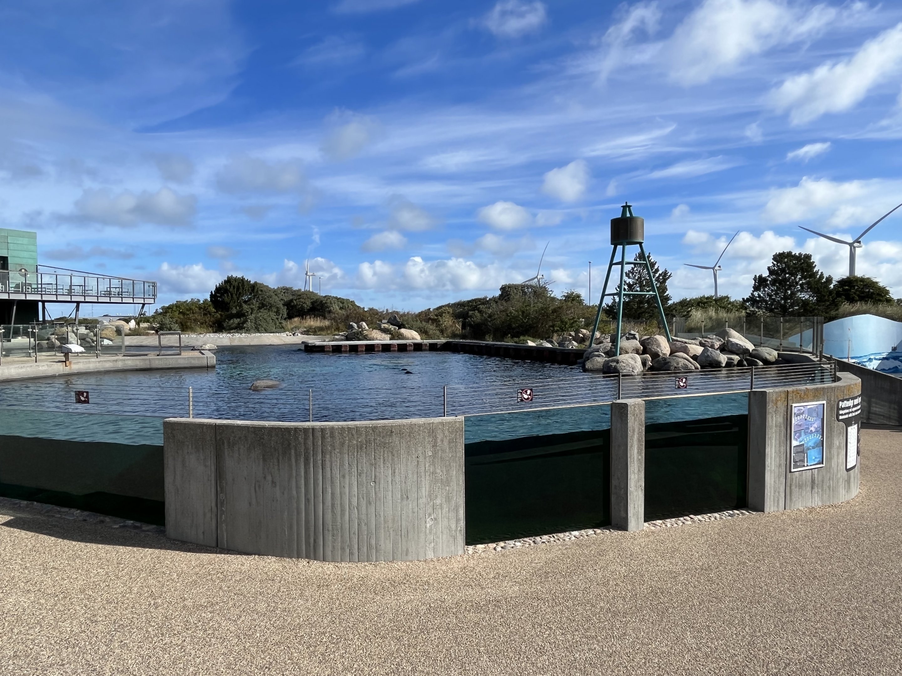Grey + Harbour Seal Exhibit