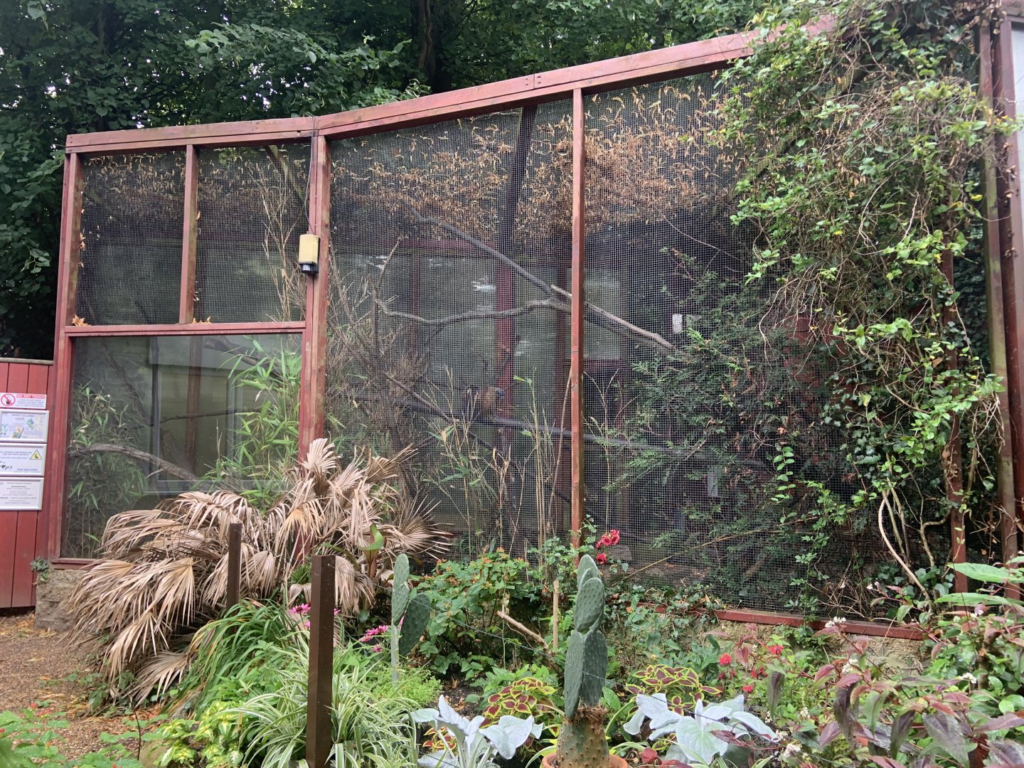 Grey-headed brown lemur enclosure