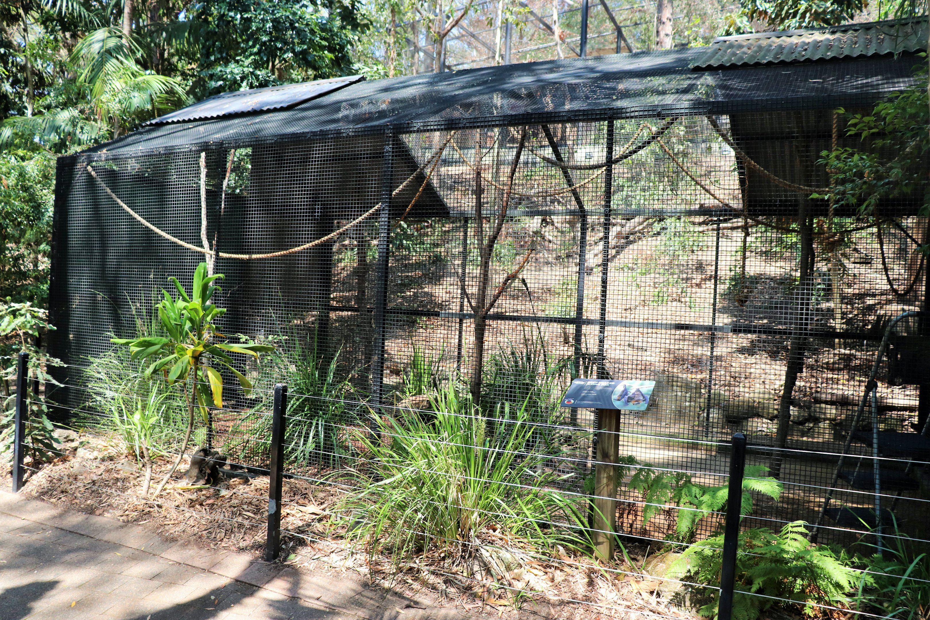 Grey-headed Flying Fox Enclosure