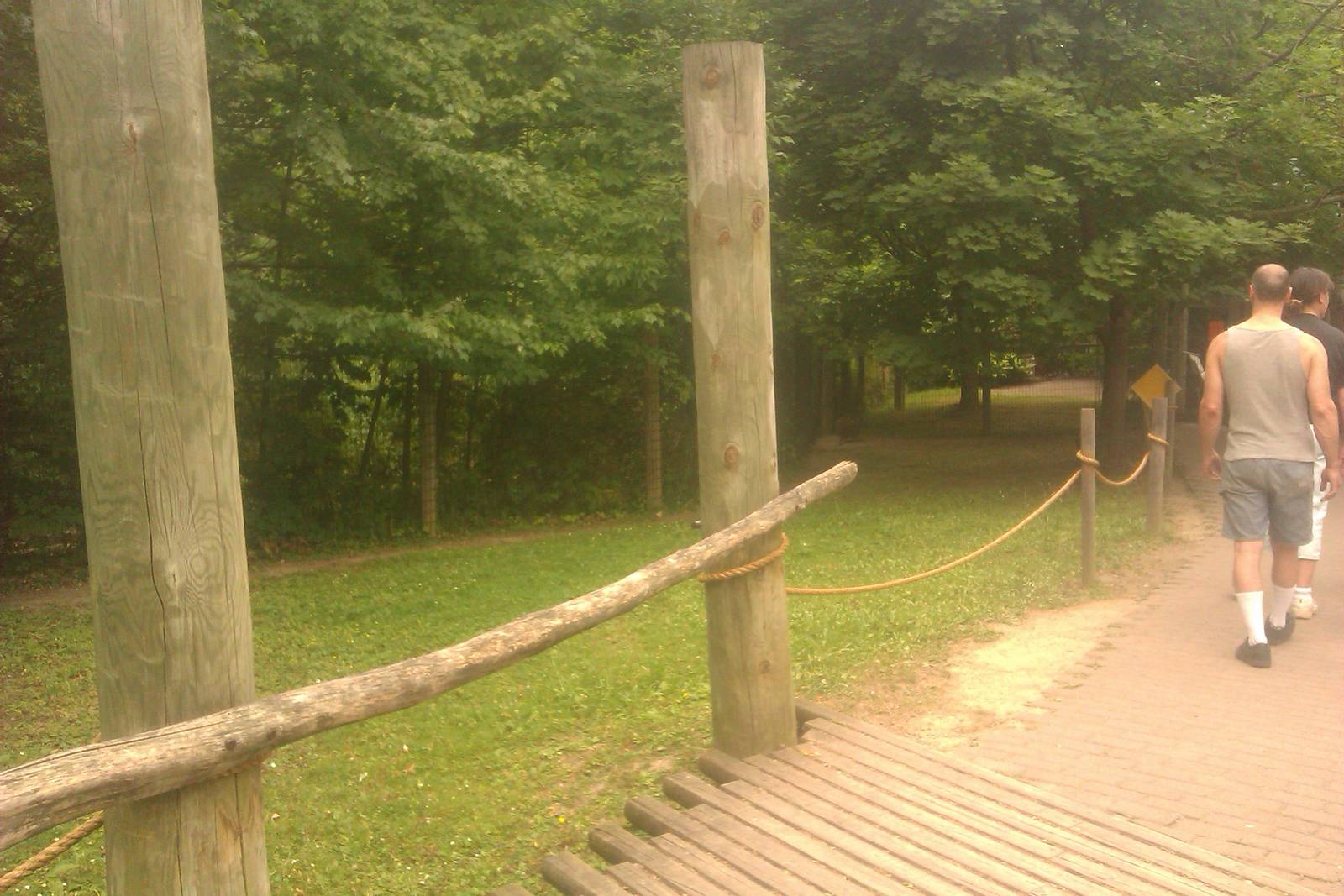 Grey Kangaroo/Bennett's Wallaby Exhibit