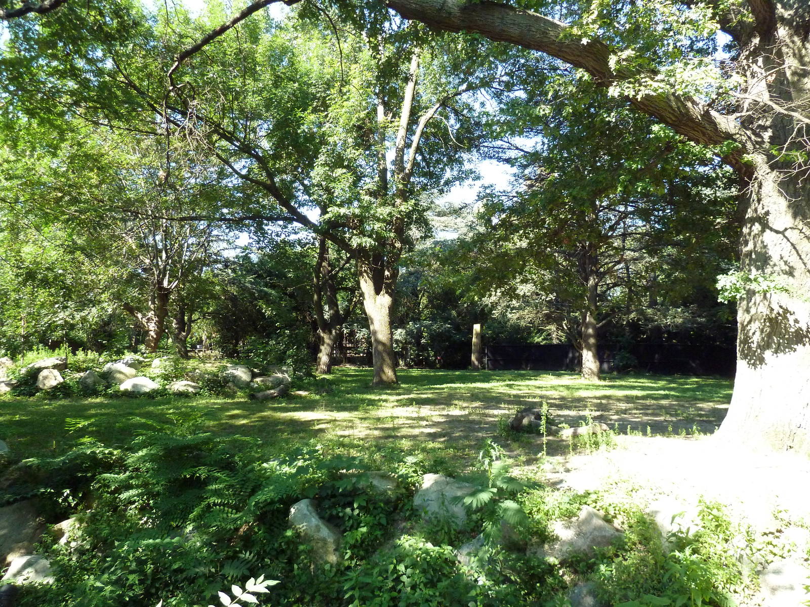 Grey Kangaroo/Emu Exhibit