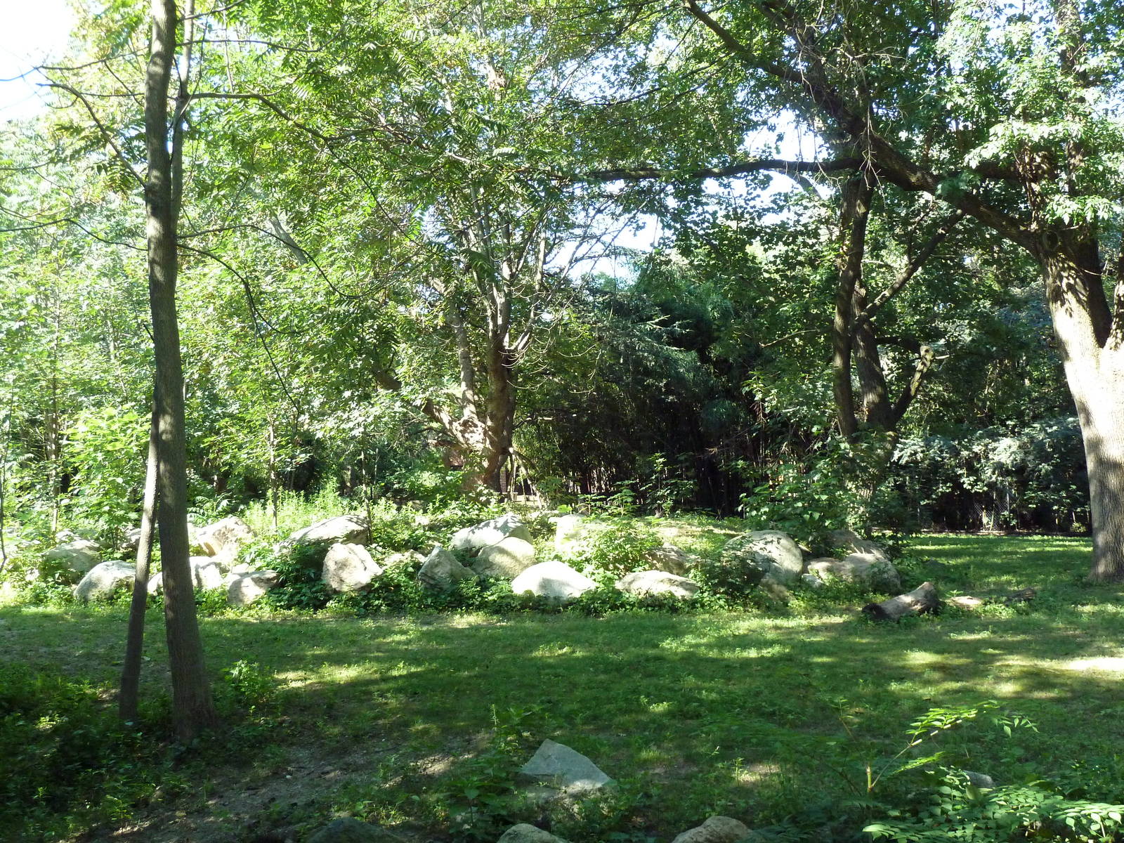 Grey Kangaroo/Emu Exhibit