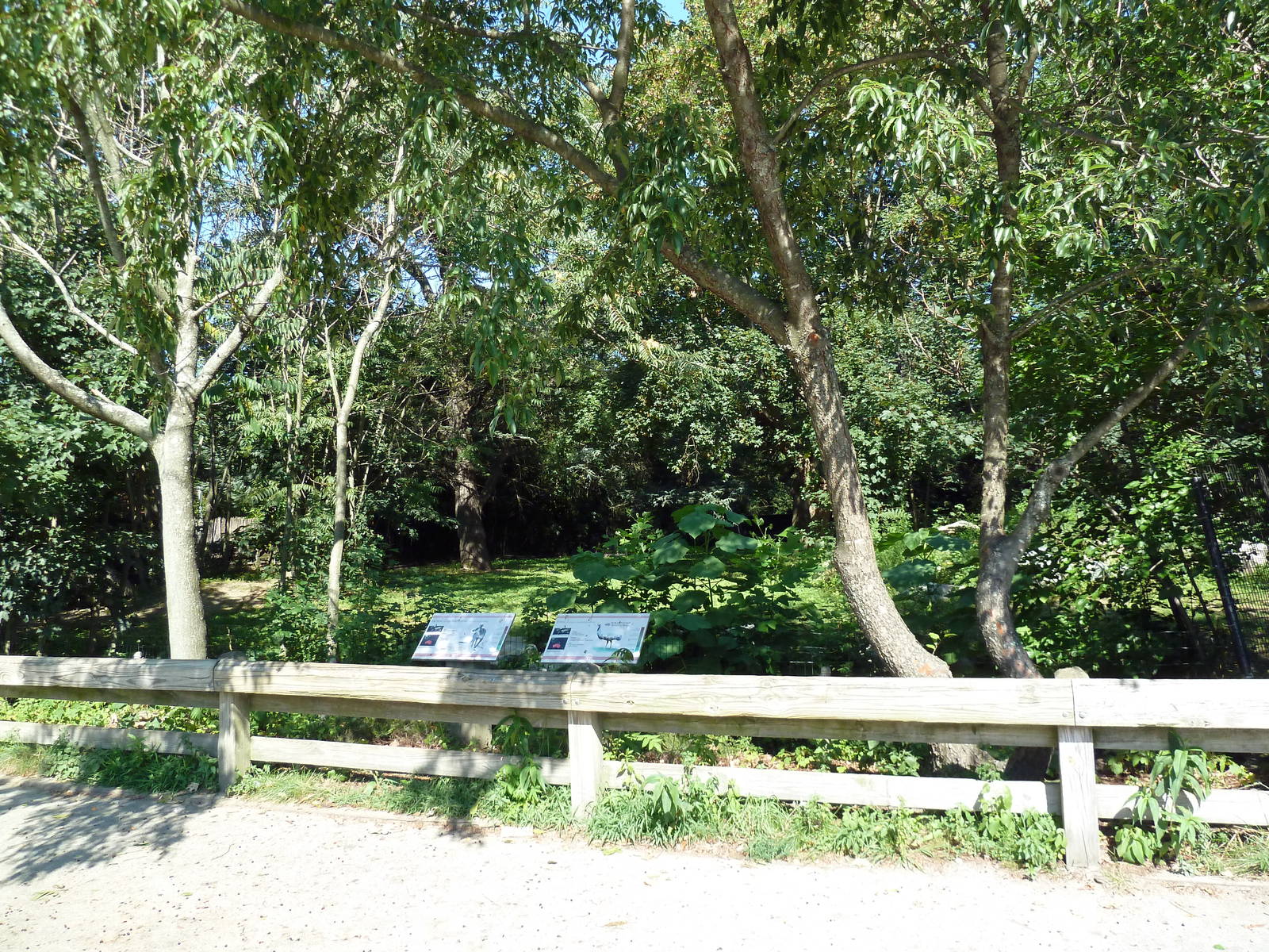 Grey Kangaroo/Emu Exhibit