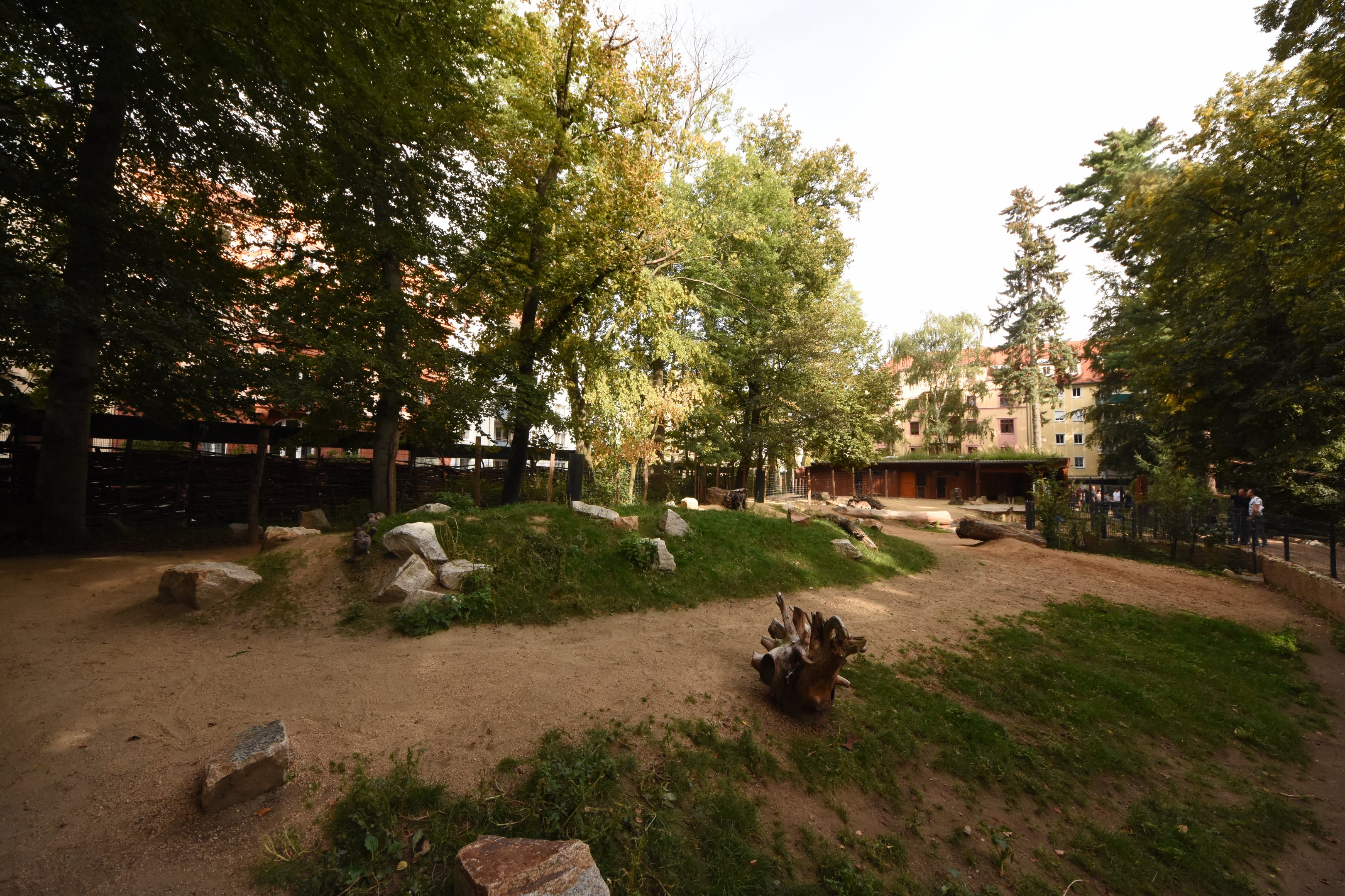 Grey kangaroo enclosure