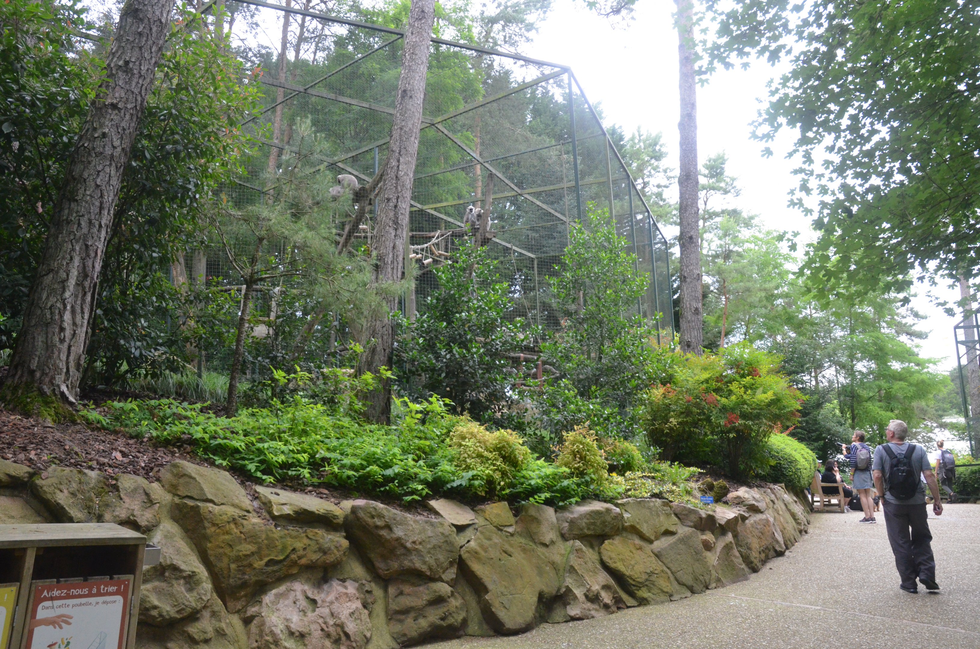 Grey Langur Enclosure at Beauval, 12/06/18