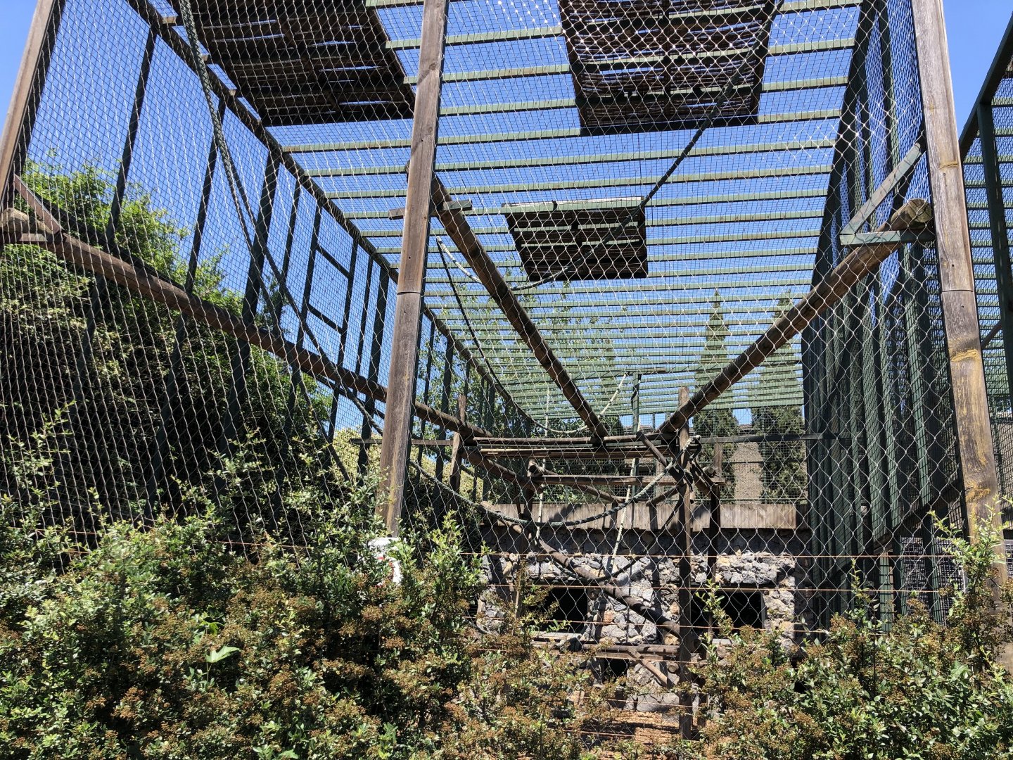 Grey langur exhibit (1)