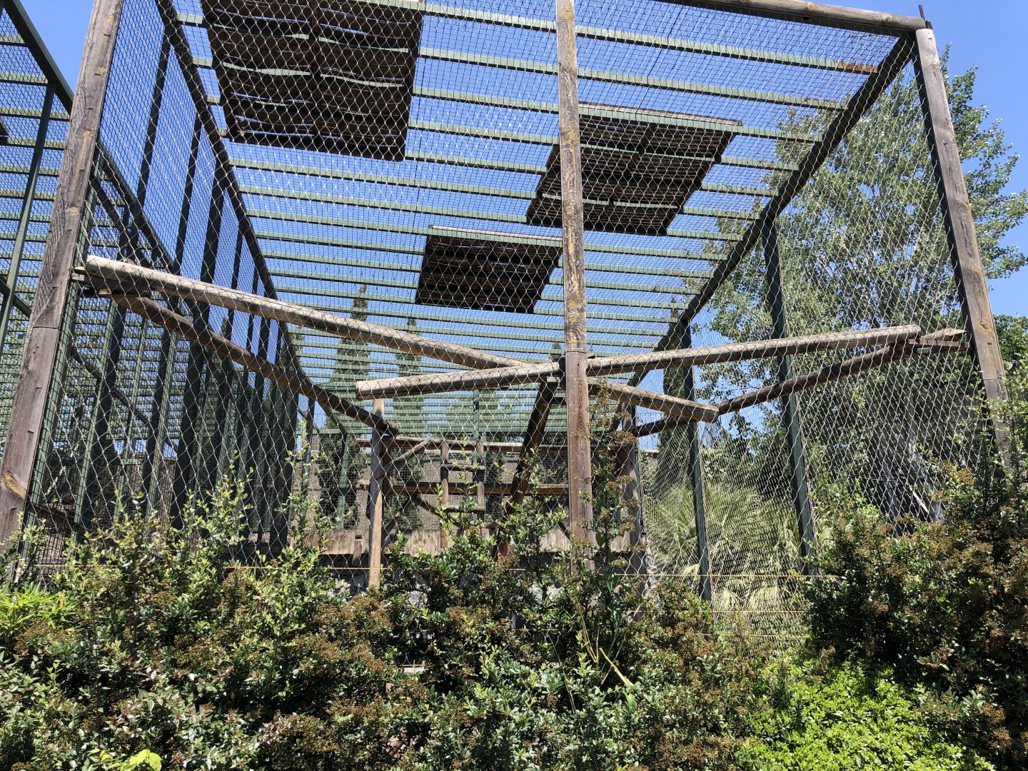 Grey langur exhibit (2)