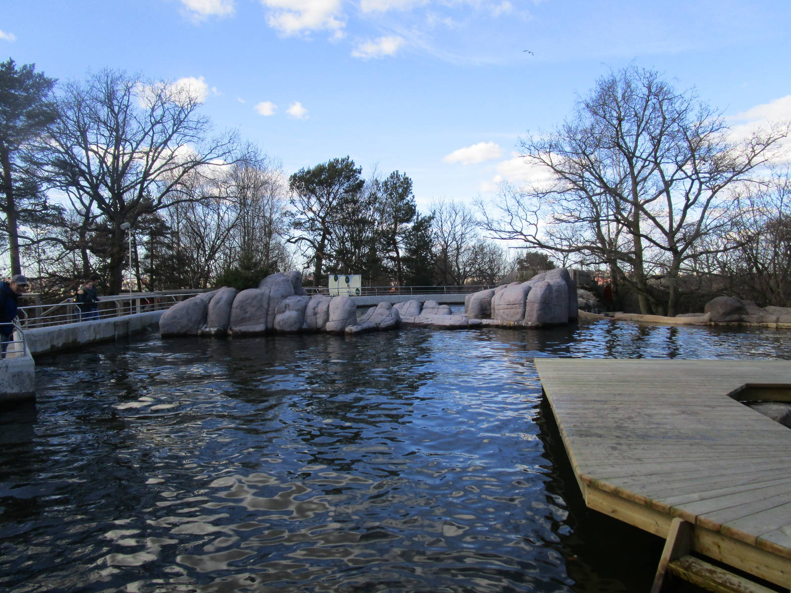 Grey Seal Enclosure - 24/03/15