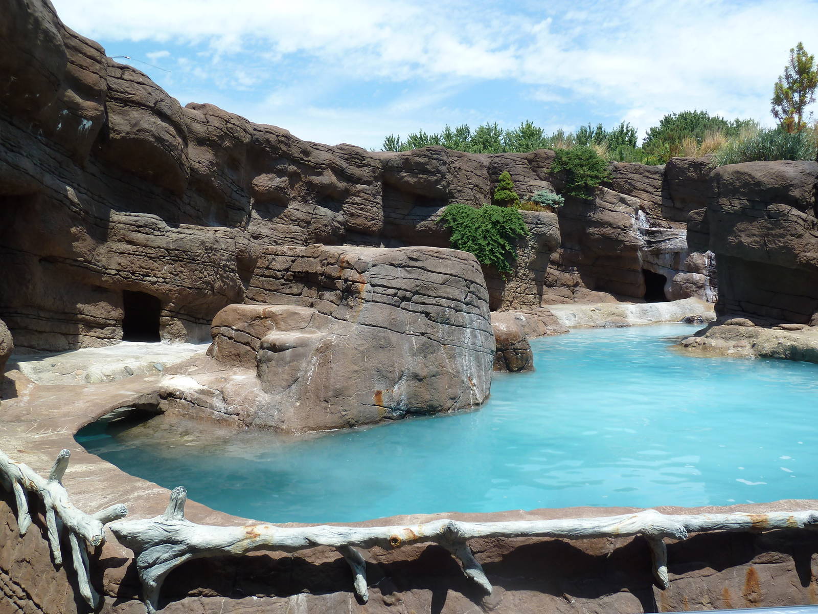 Grey Seal/Harbour Seal/California Sea Lion Exhibit