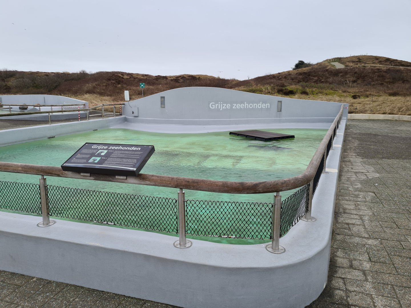 Grey seal permanent enclosure