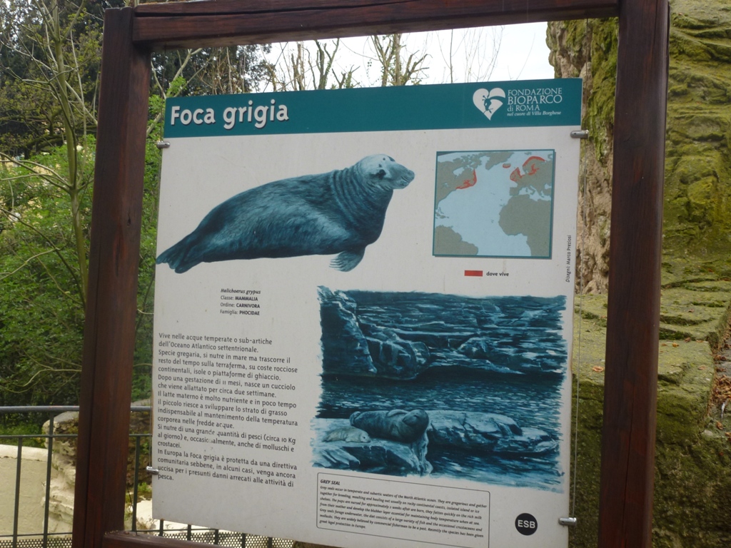 Grey seal sign 5.4.15