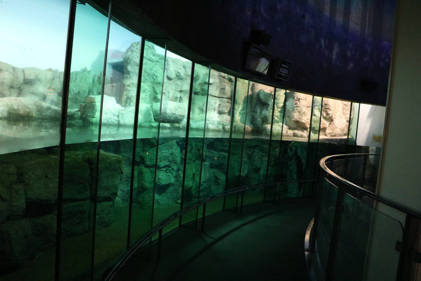 Grey seal viewing window, February 2016