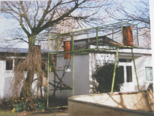 Grey Squirrel Enclosure 1994.