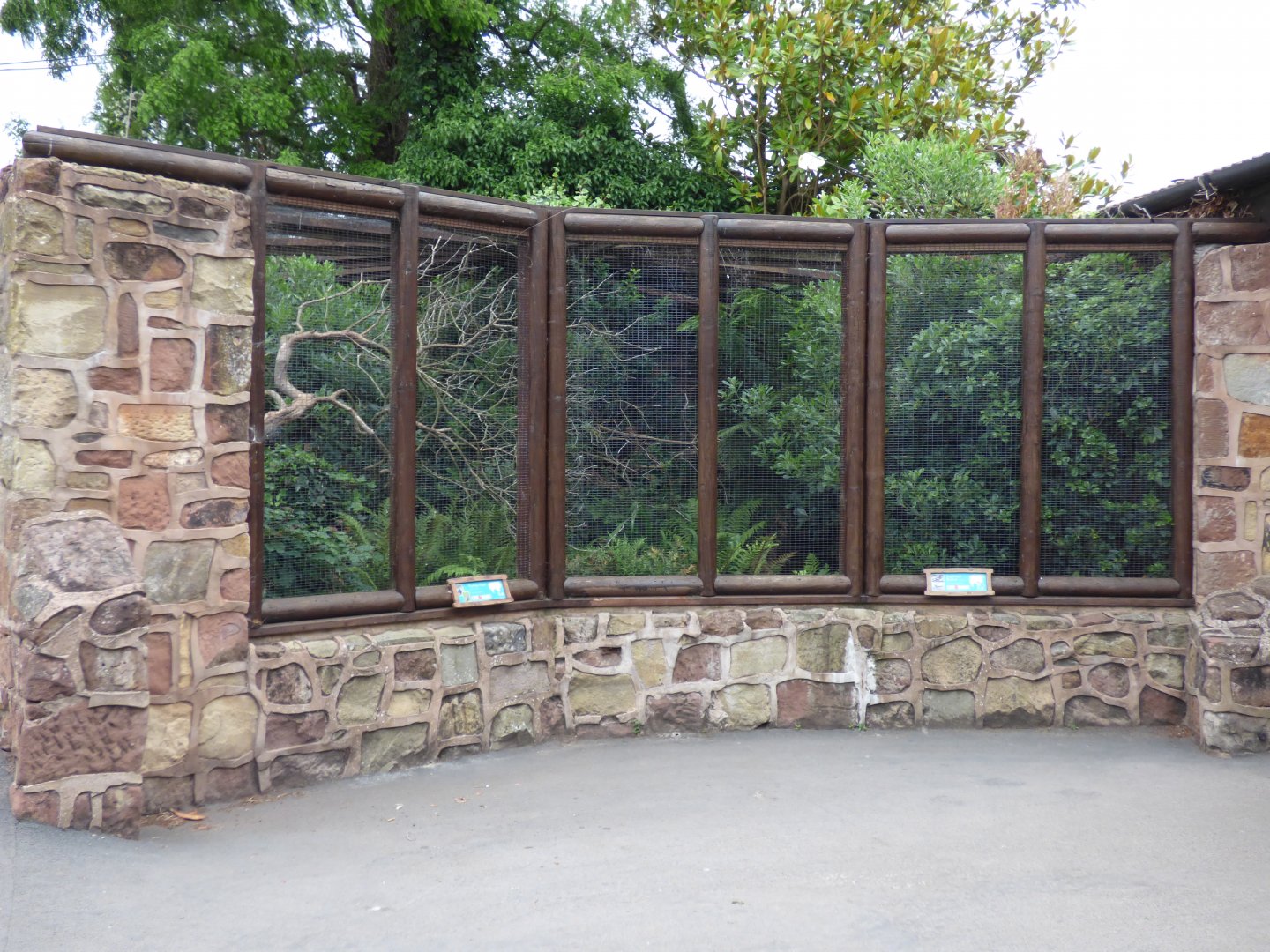 Grey-Winged Blackbird and Himalayan Monal Aviary