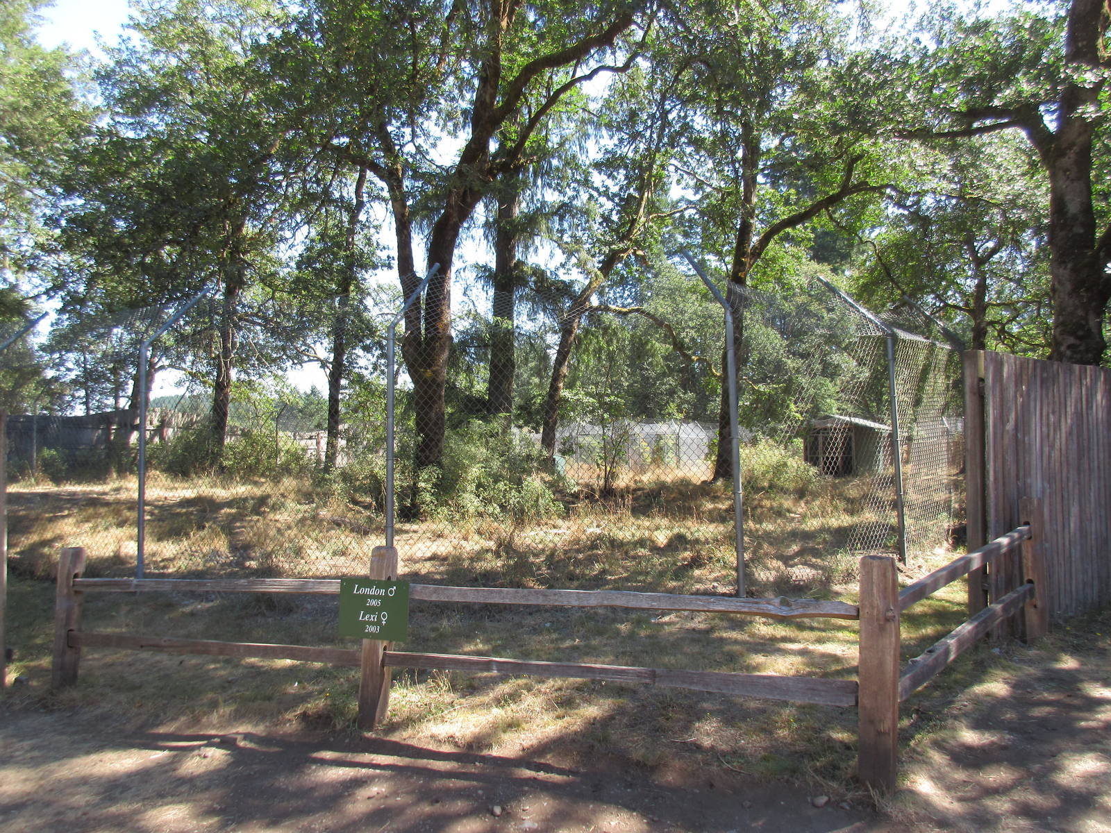 Grey Wolf Exhibit #1