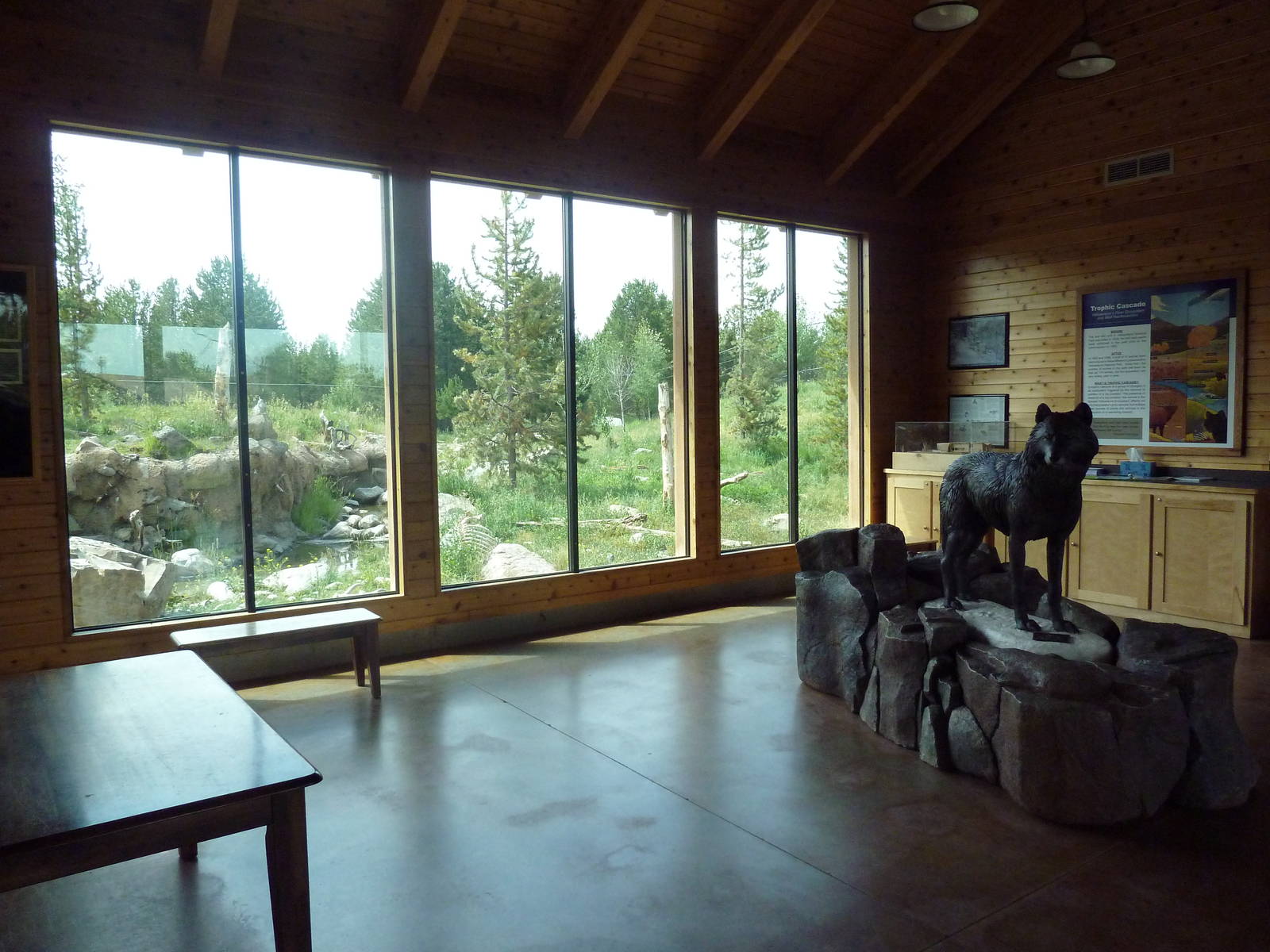 Grey Wolf Exhibit #2